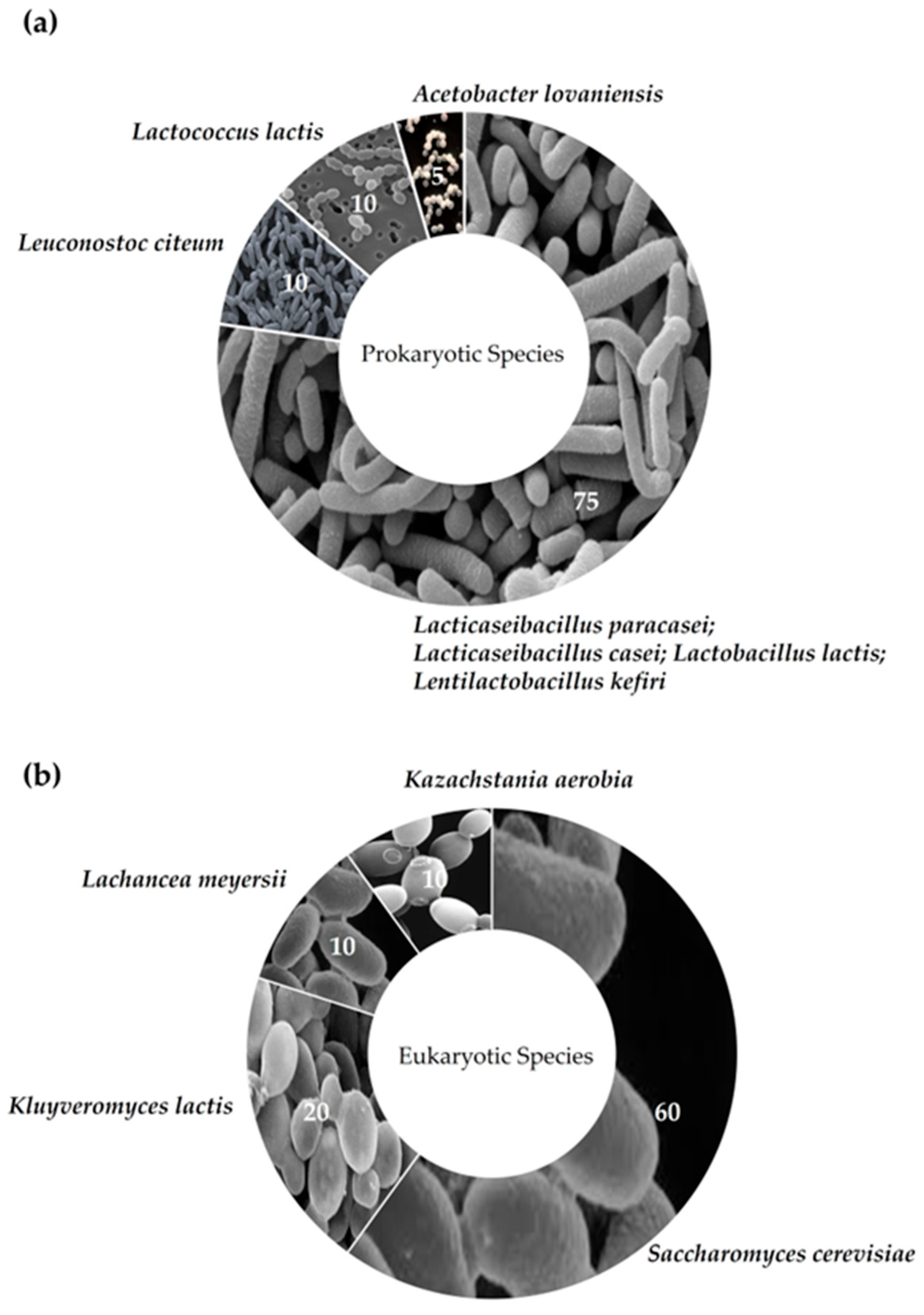 Beverages 11 00075 g006