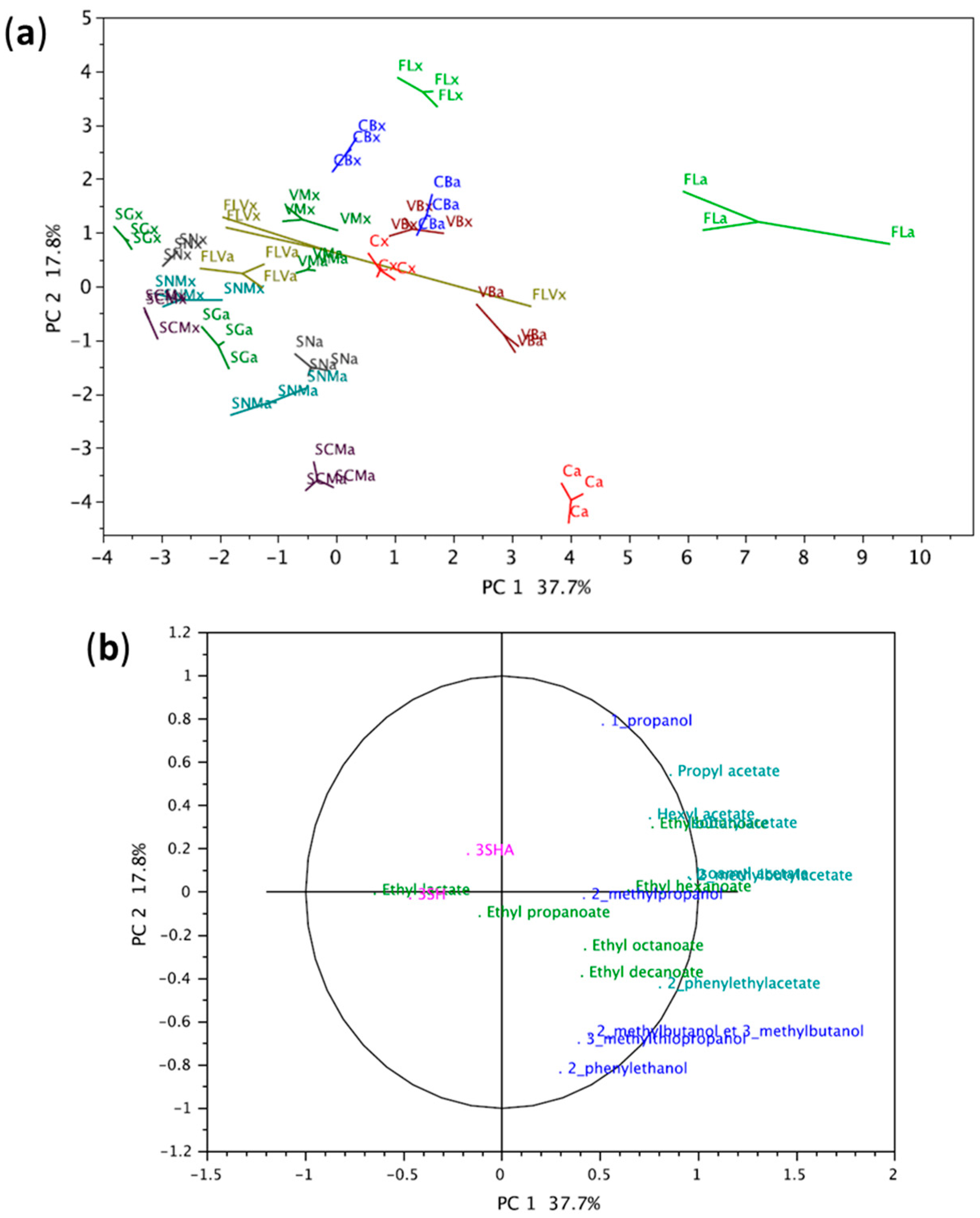Beverages 11 00090 g002