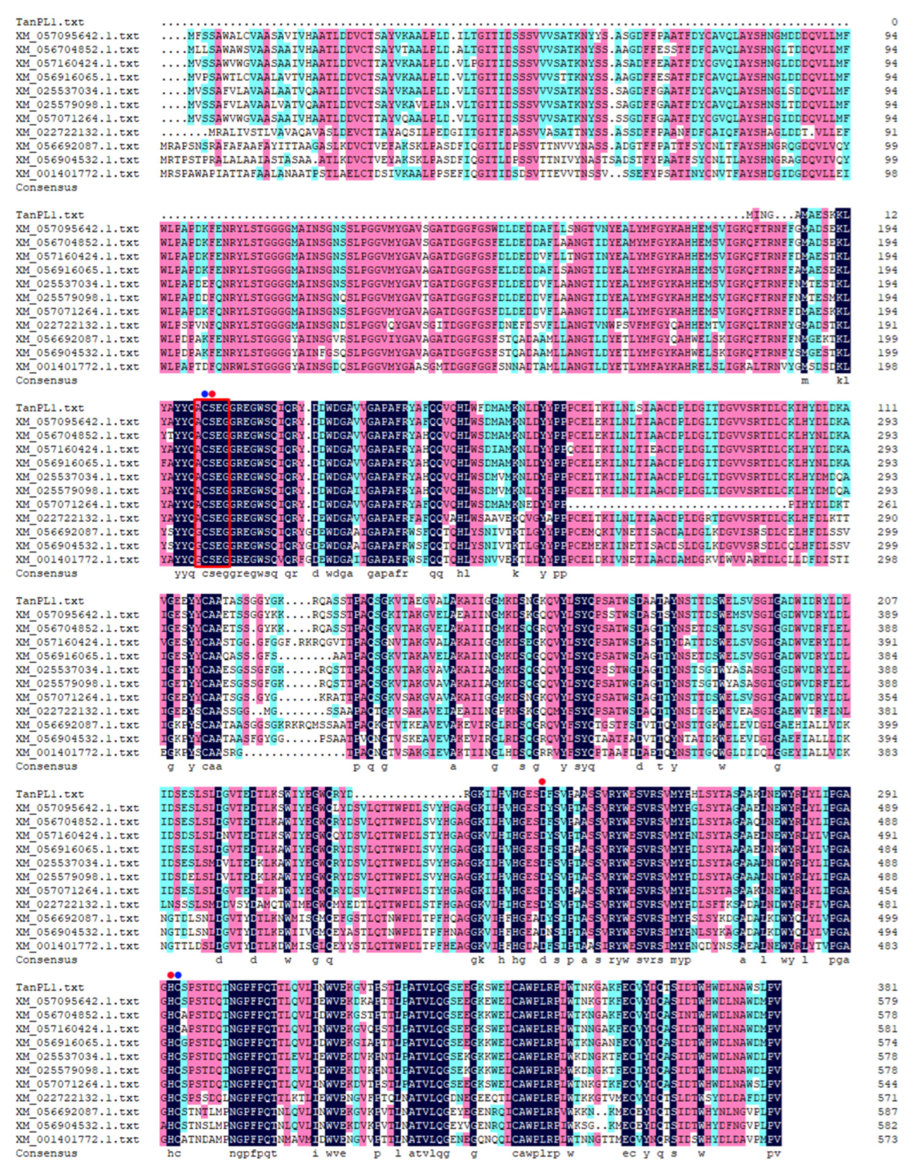 Beverages 11 00099 g001