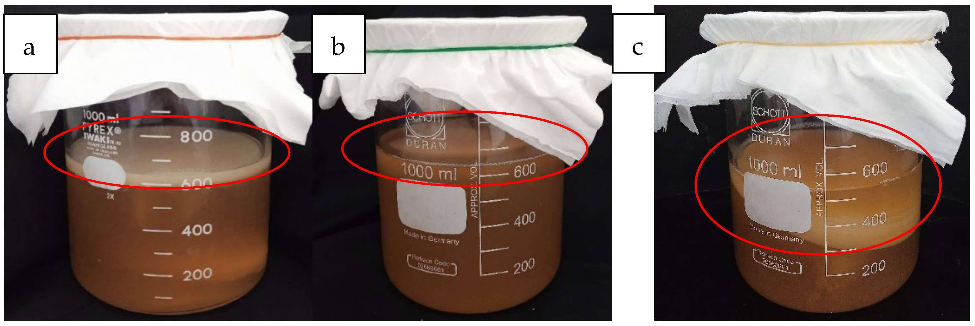 Beverages 11 00134 g001