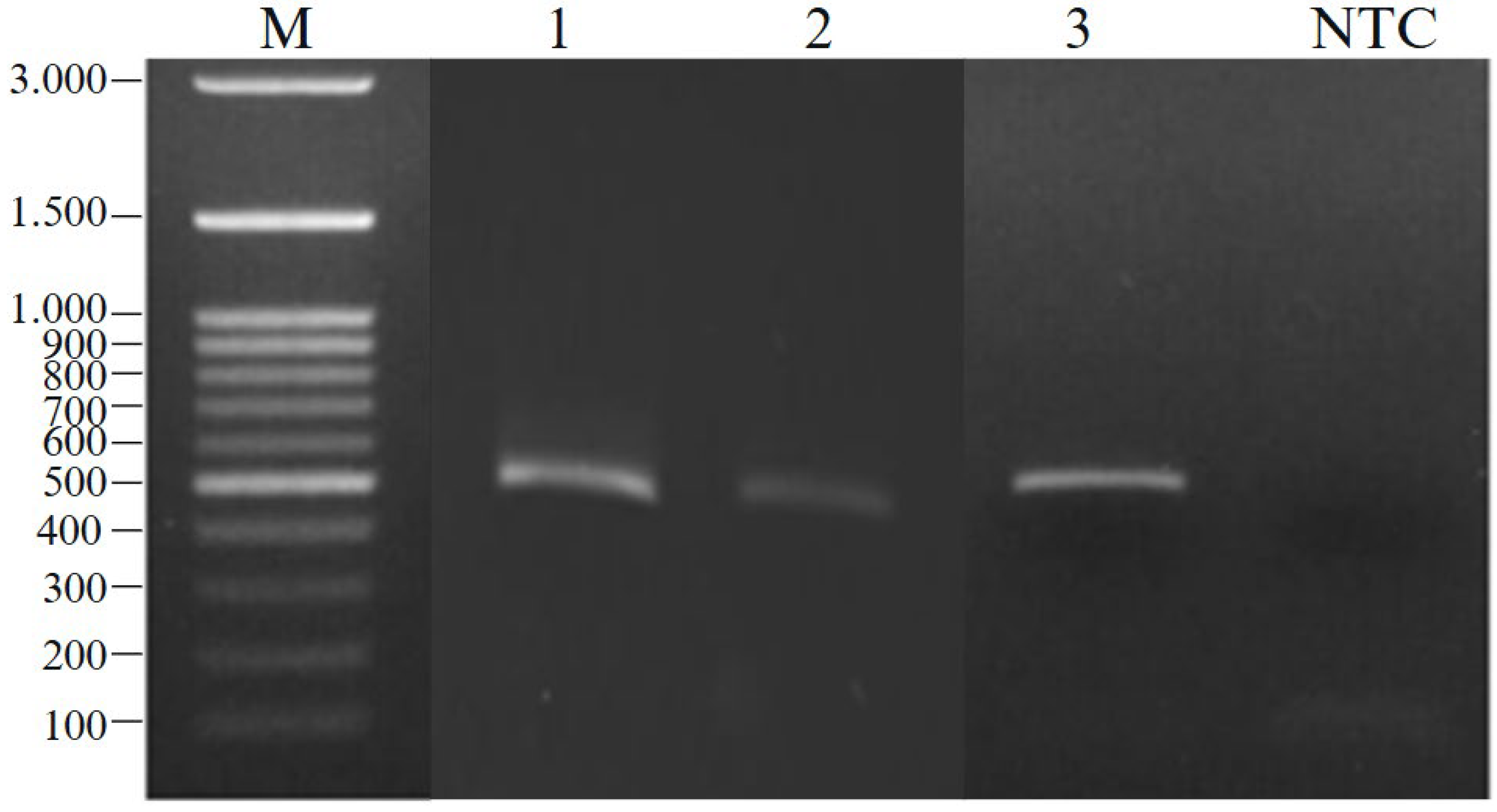 Beverages 11 00134 g003