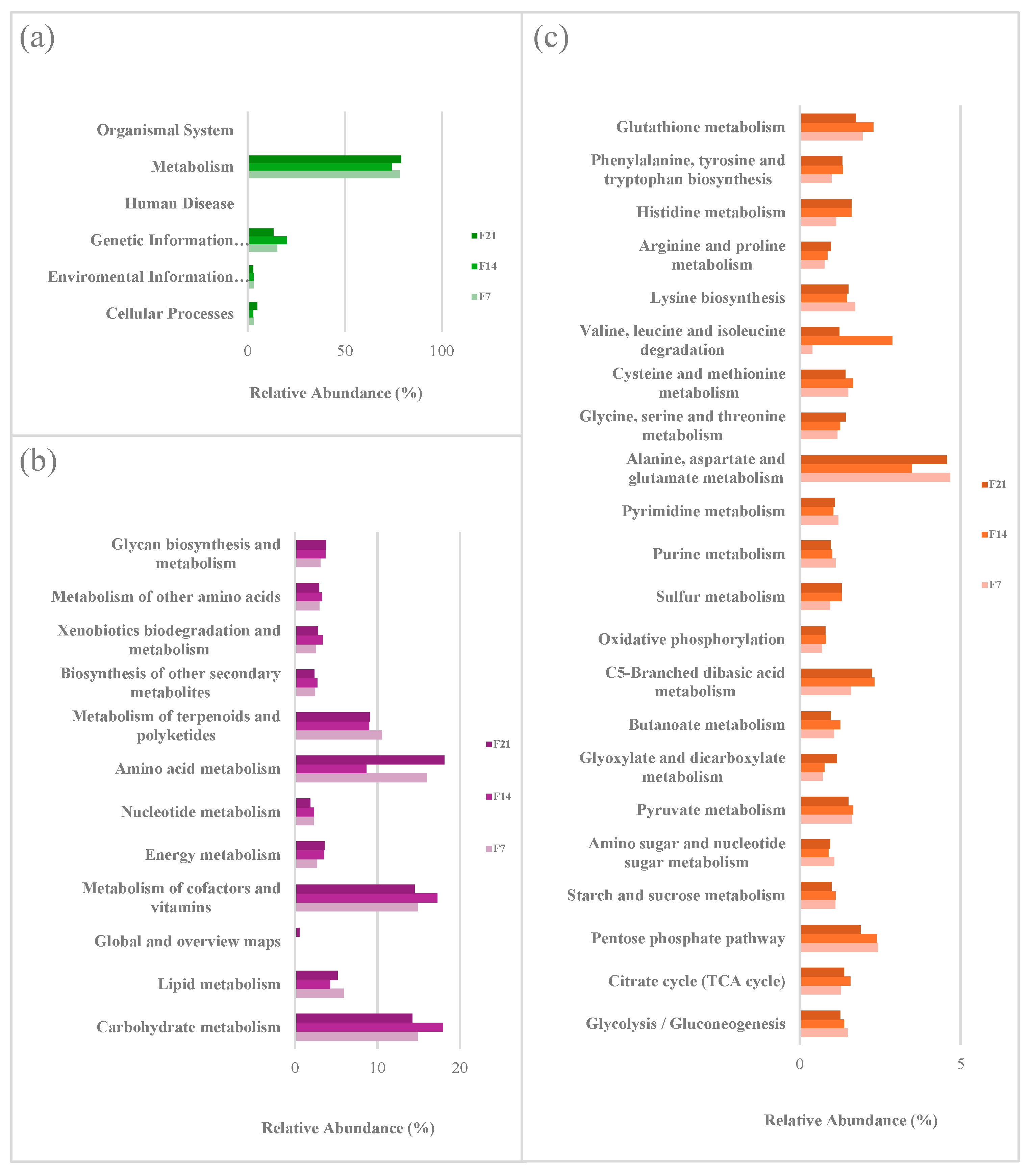 Beverages 11 00134 g005