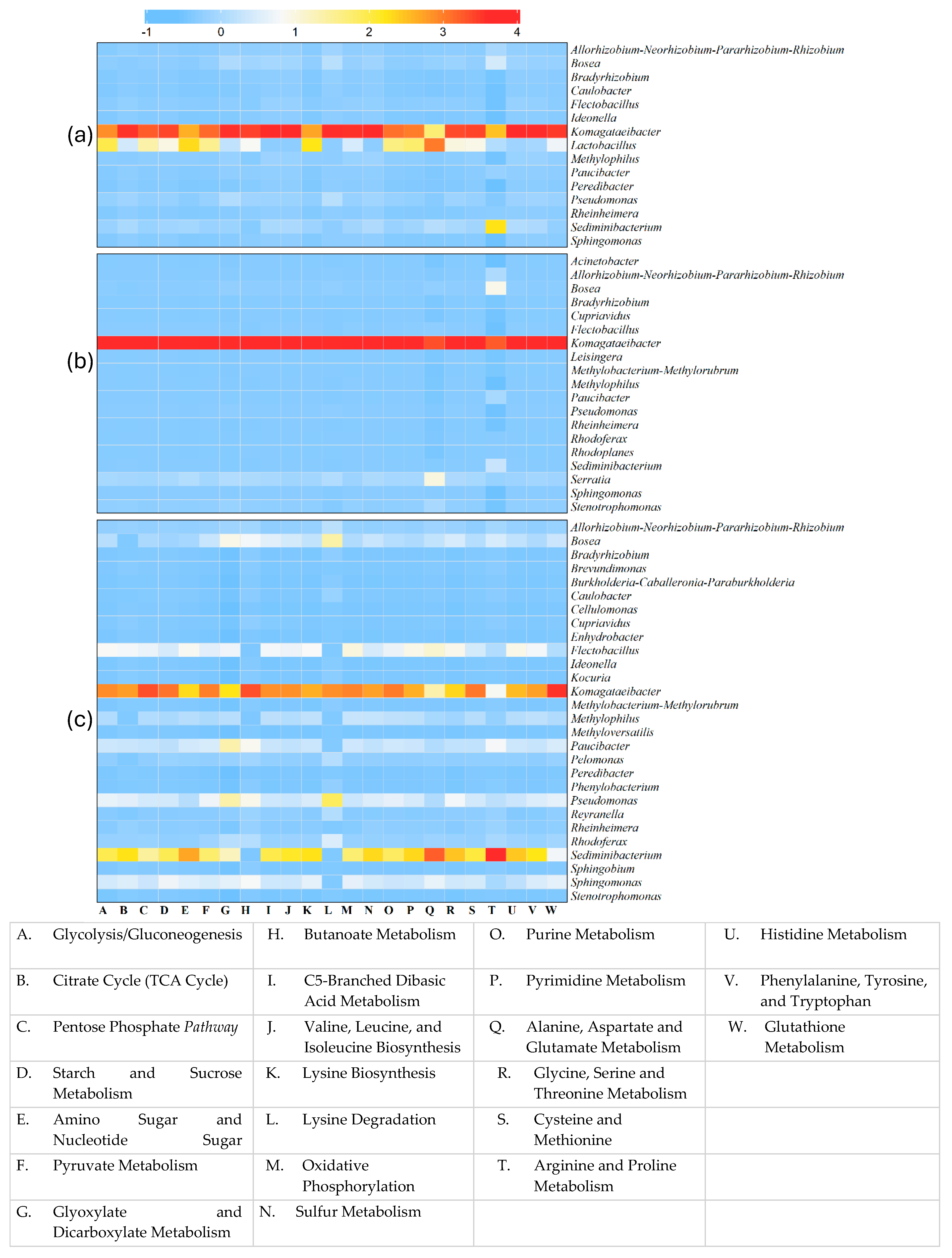 Beverages 11 00134 g006