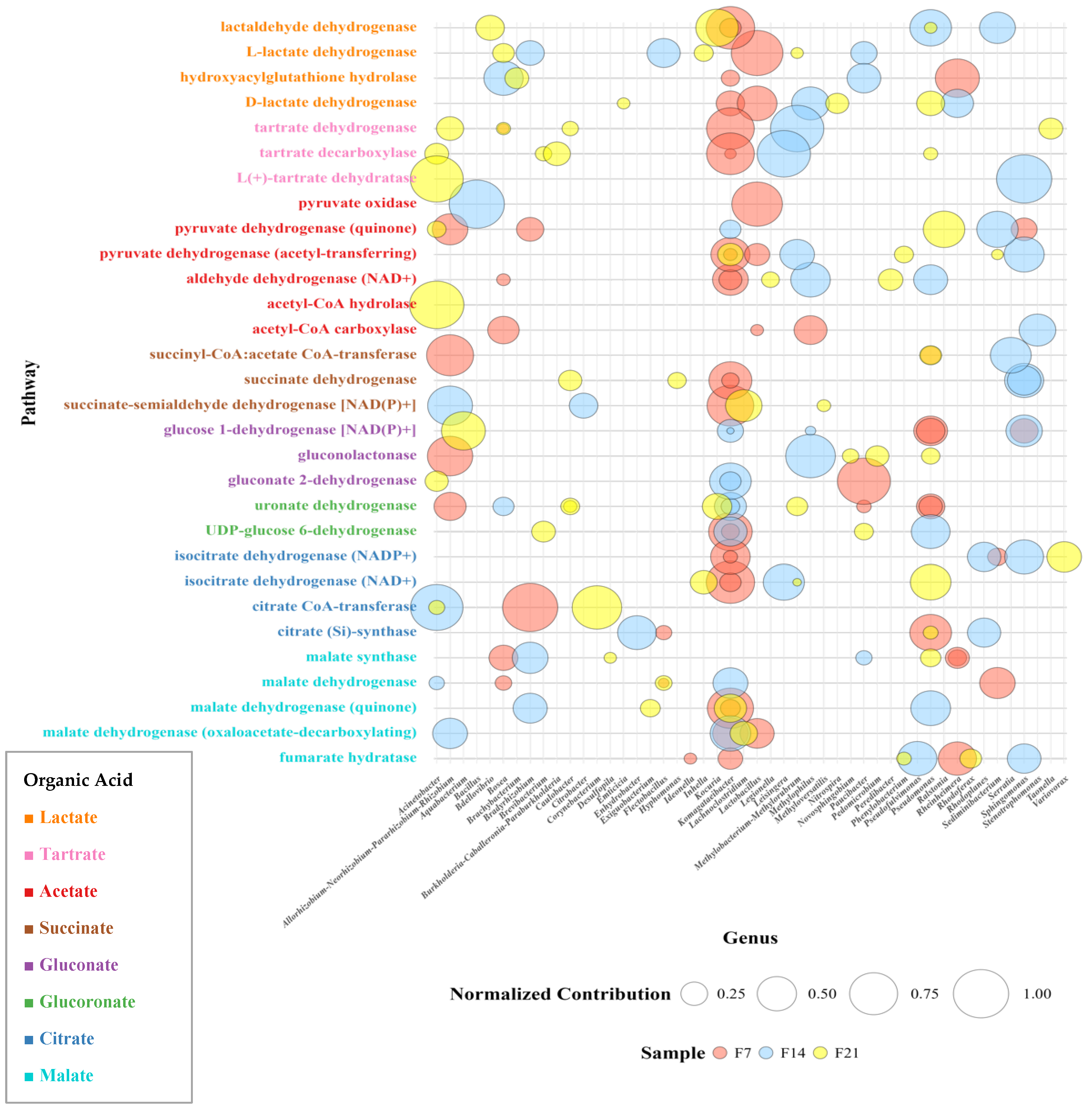 Beverages 11 00134 g007