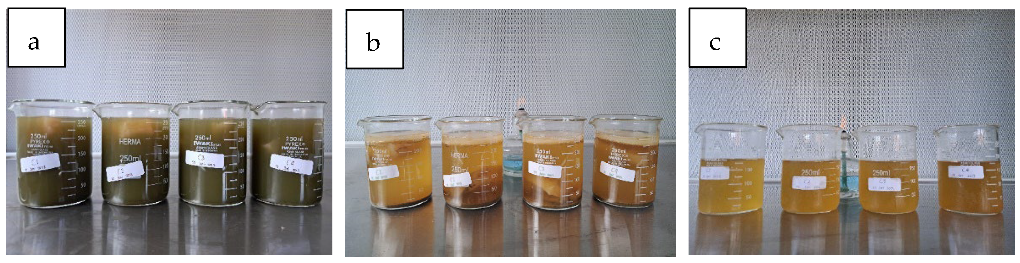 Beverages 11 00134 g008