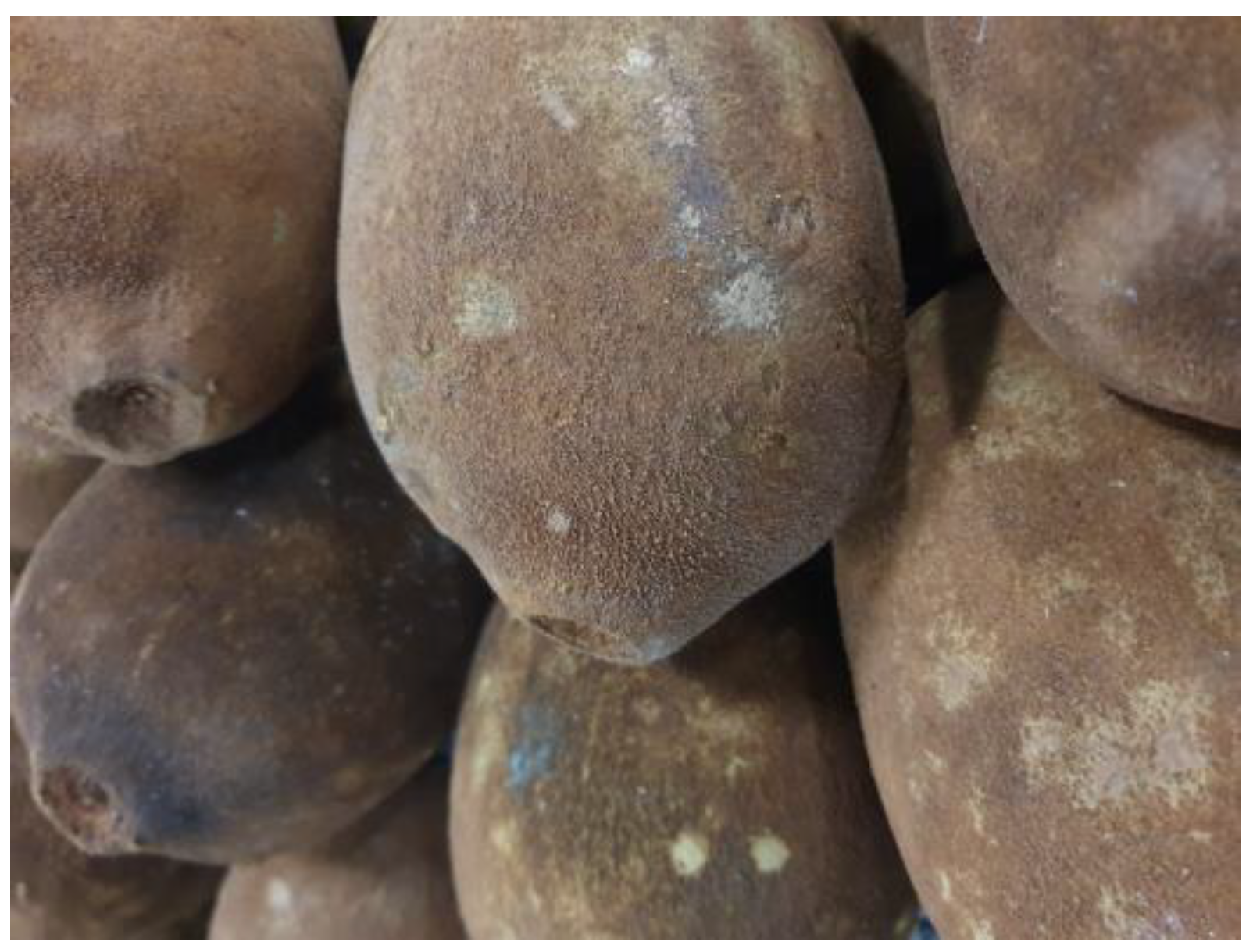 Beverages 11 00152 g001