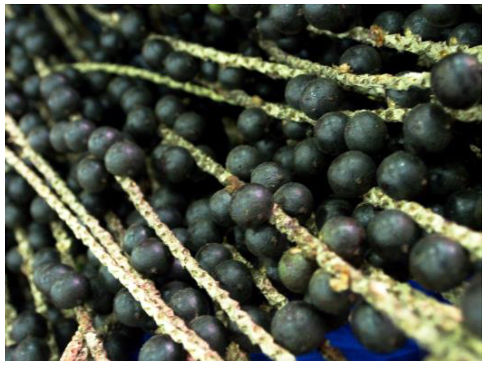 Beverages 11 00152 g002