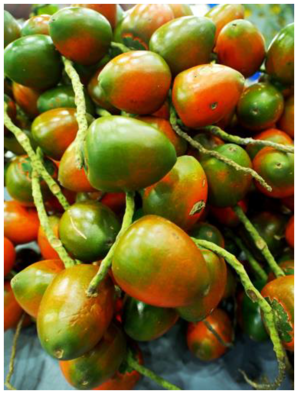 Beverages 11 00152 g008