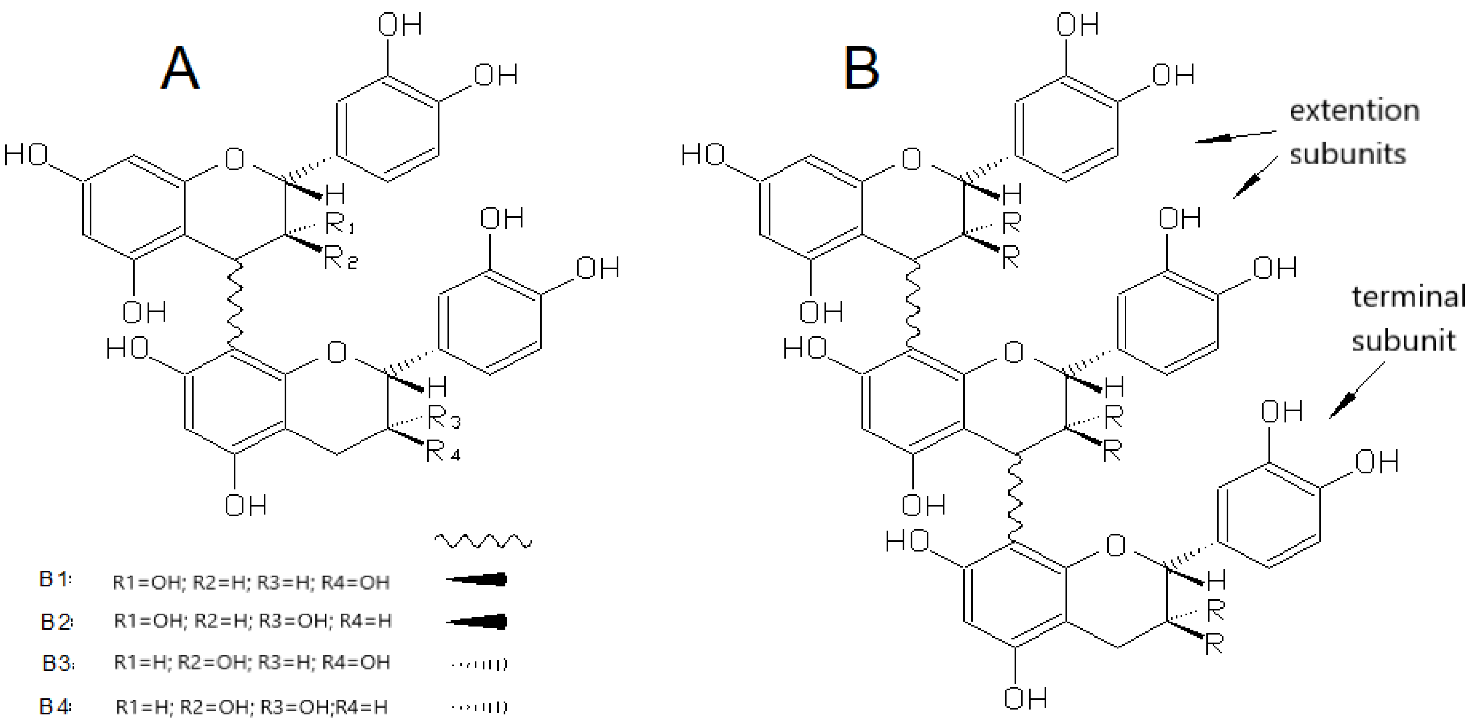 Beverages 11 00163 g004
