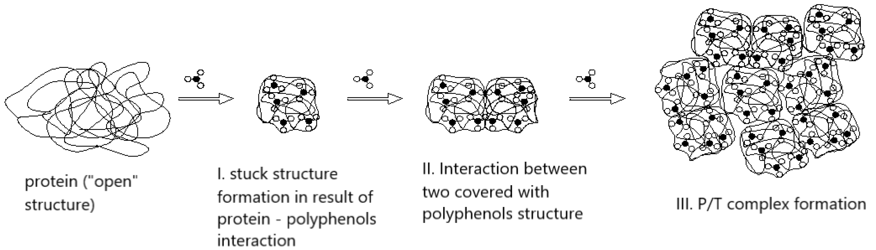 Beverages 11 00163 g007