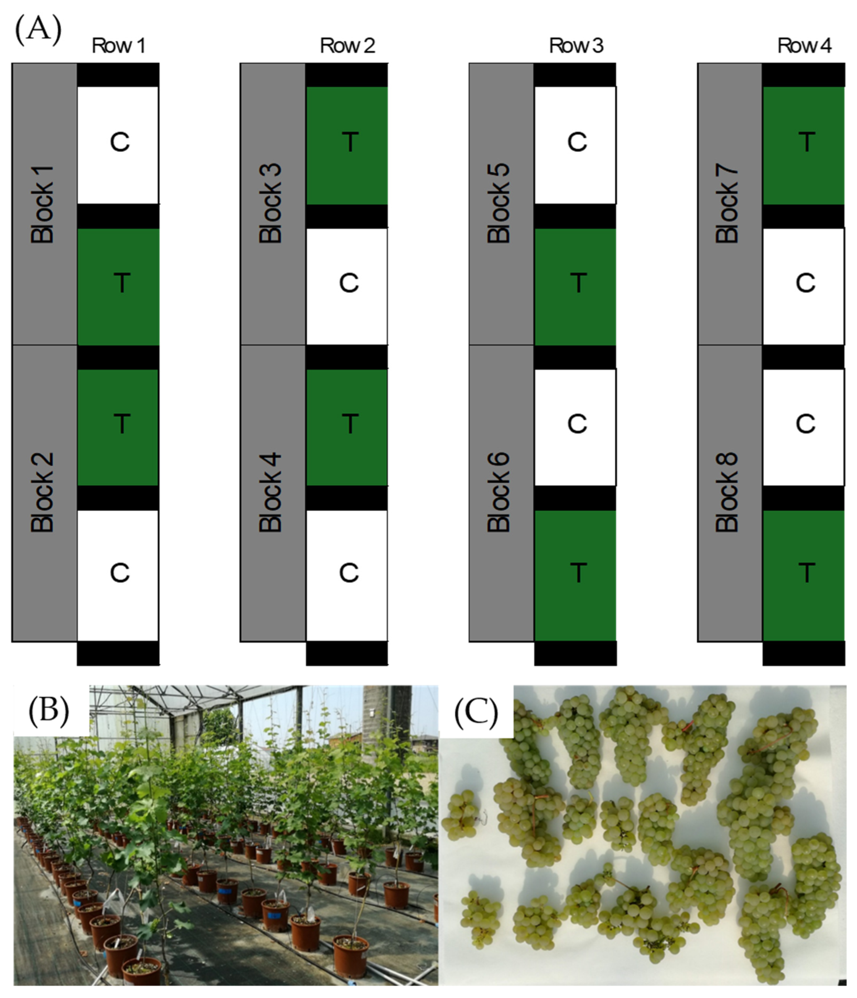 Beverages 11 00168 g001