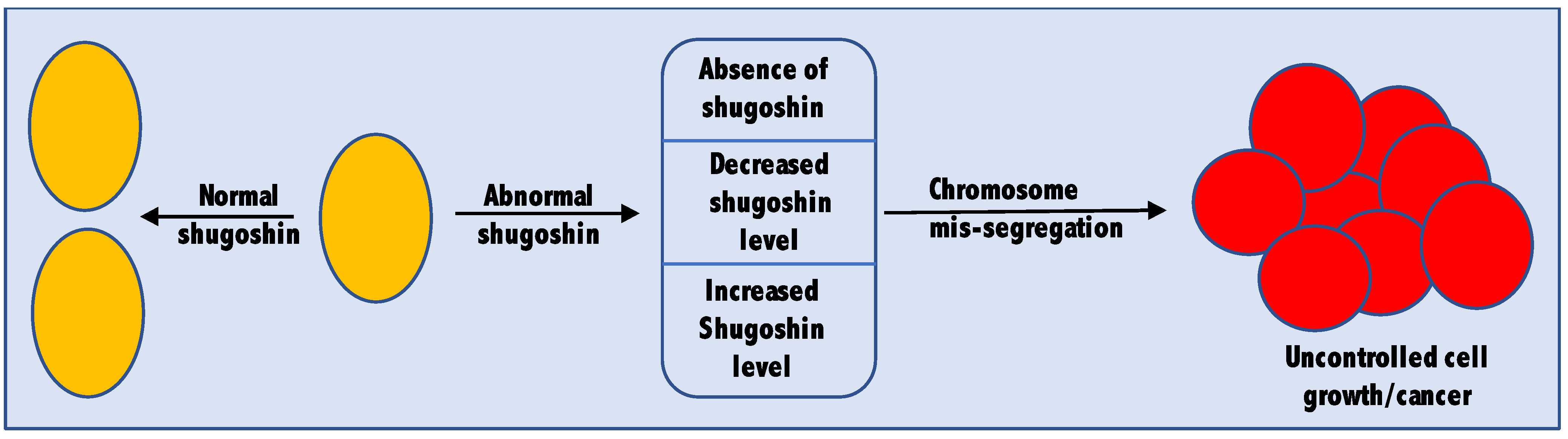 Shugoshin: From the Perspective of Clinical Disorders