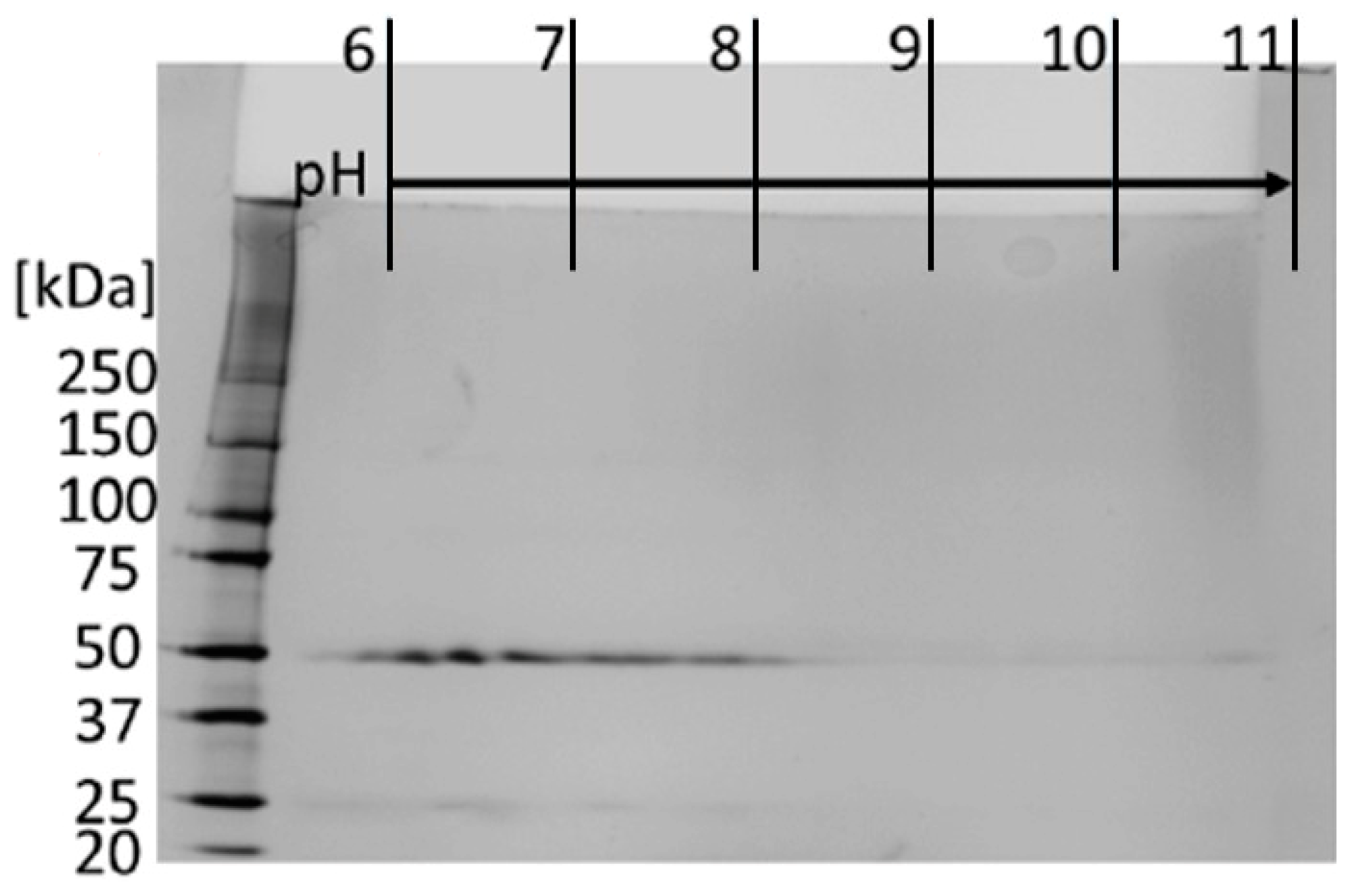 Biochem 01 00008 g003