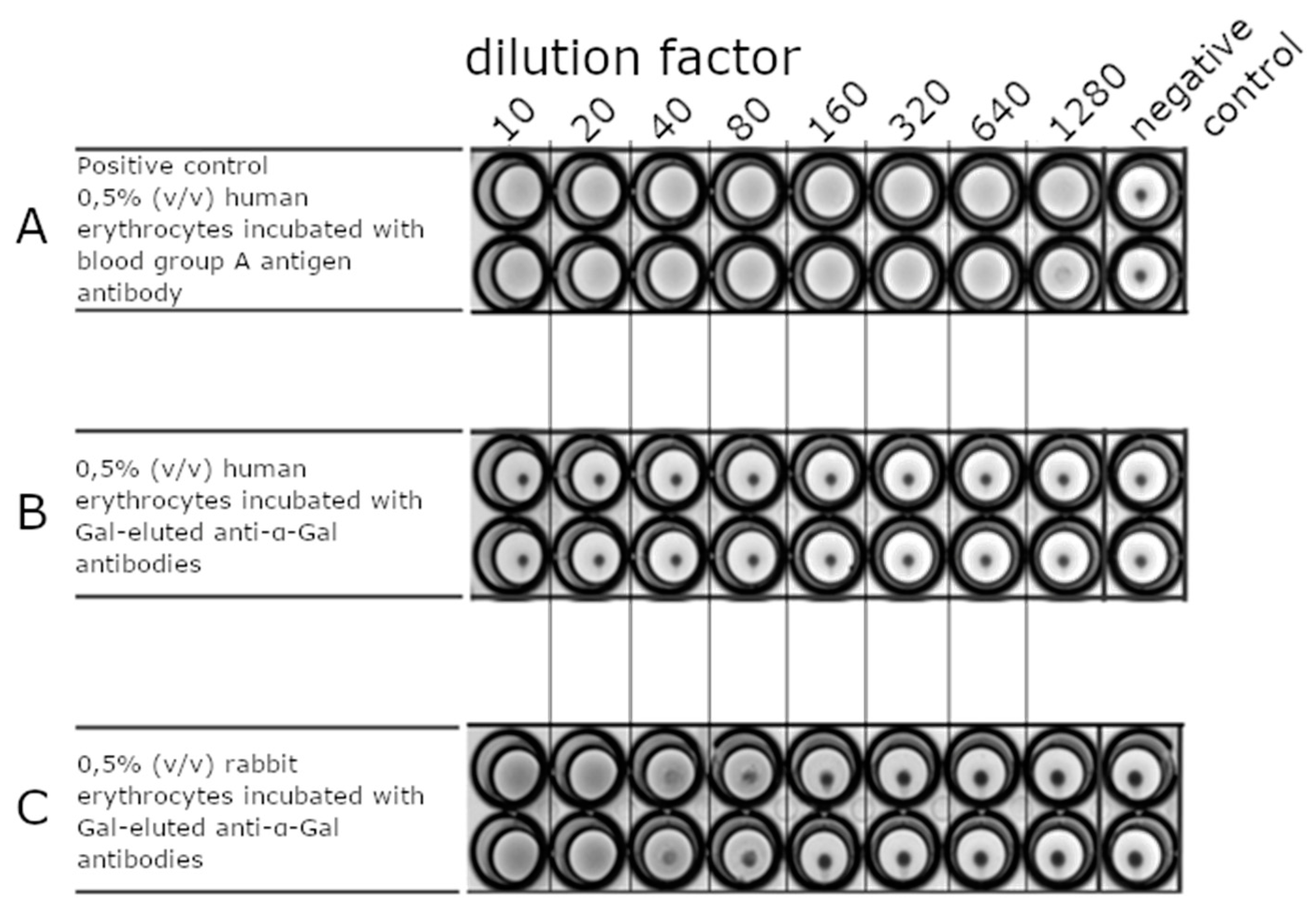 Biochem 01 00008 g005
