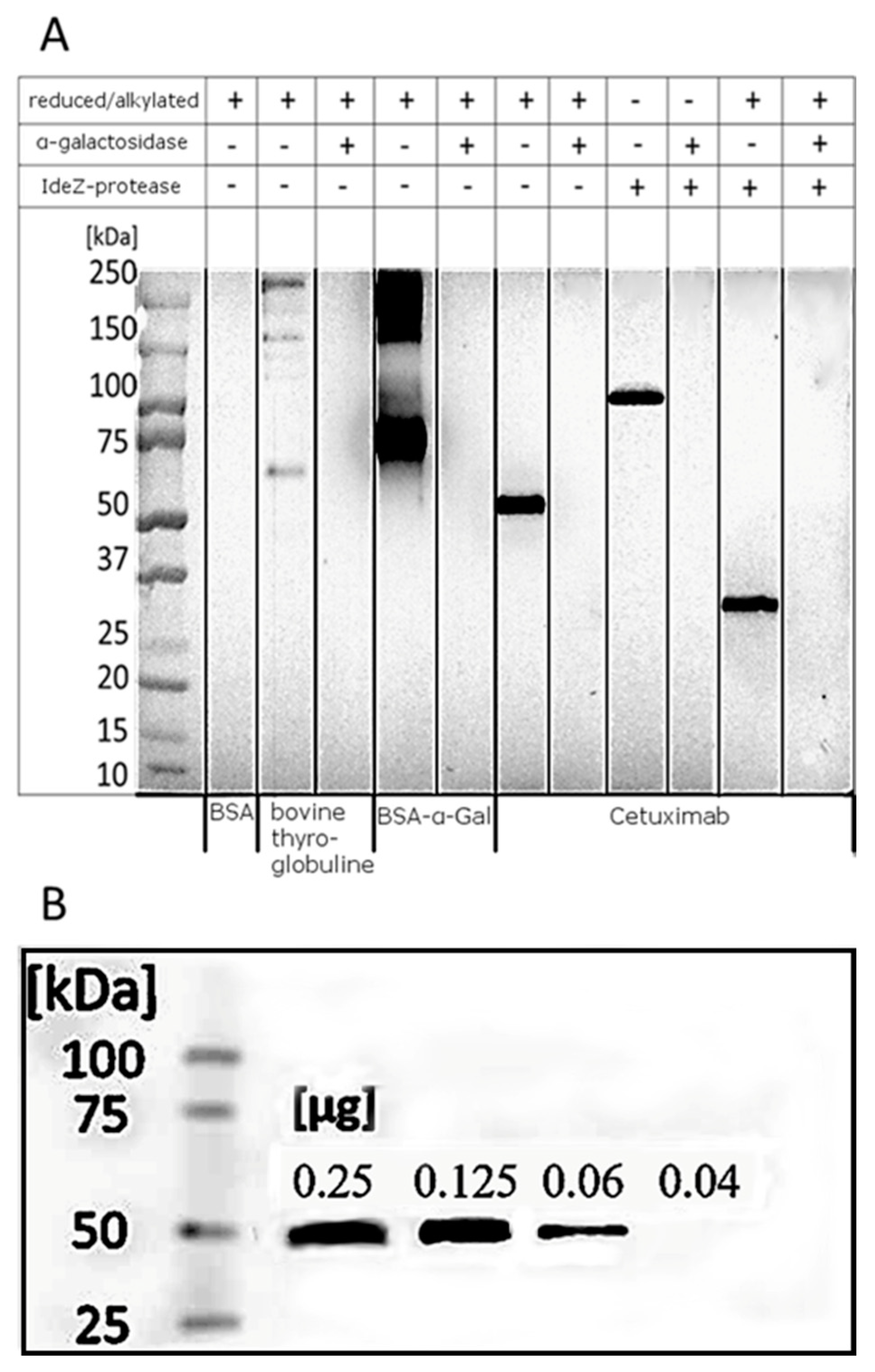 Biochem 01 00008 g008