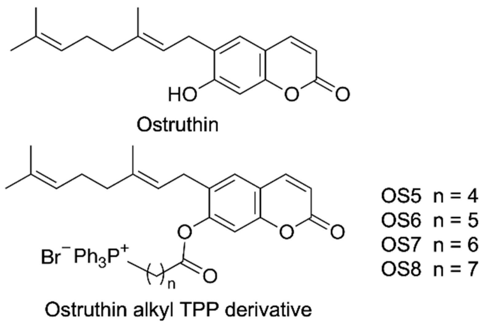 Biochem 01 00010 g001