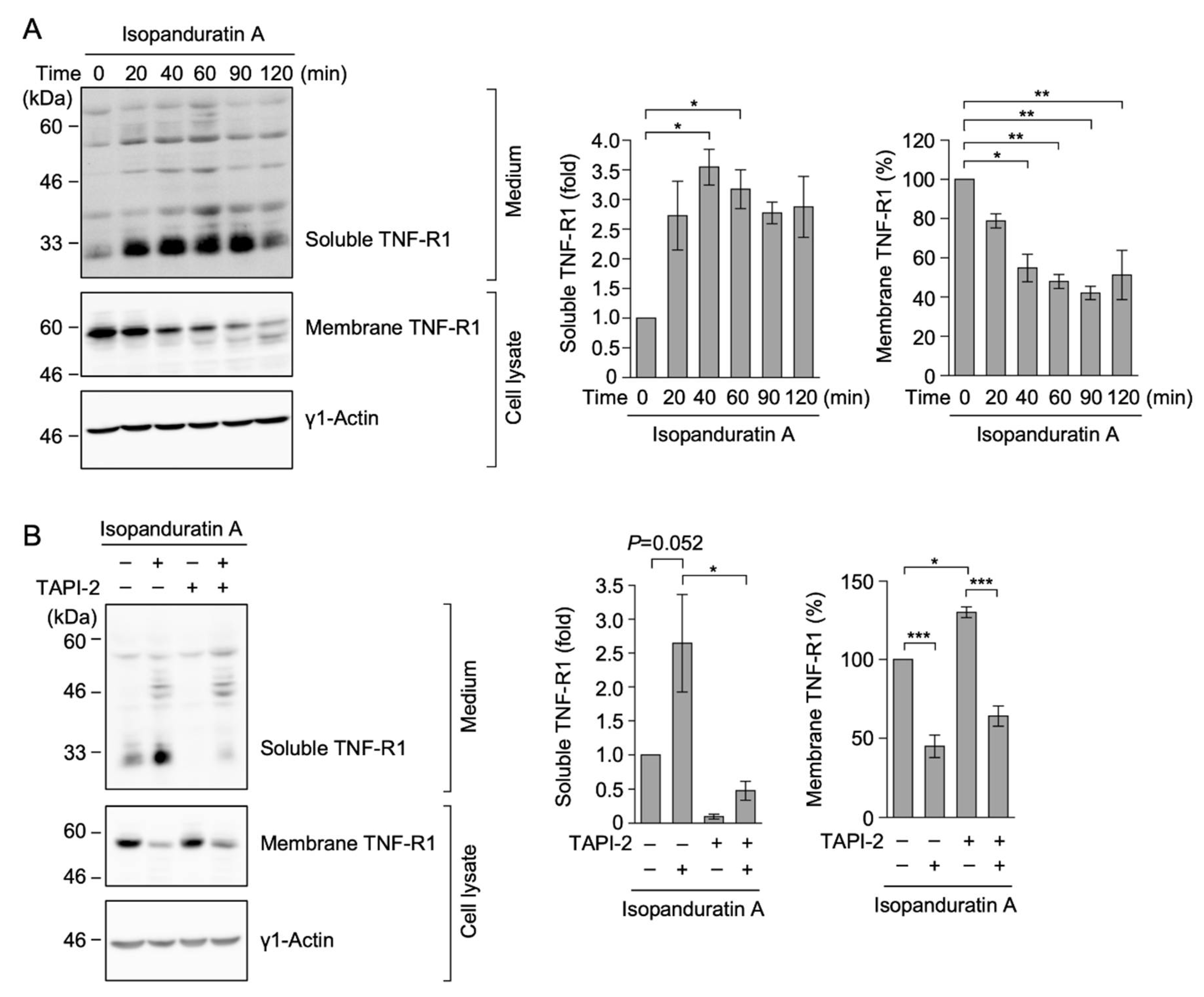 Biochem 01 00014 g003 550