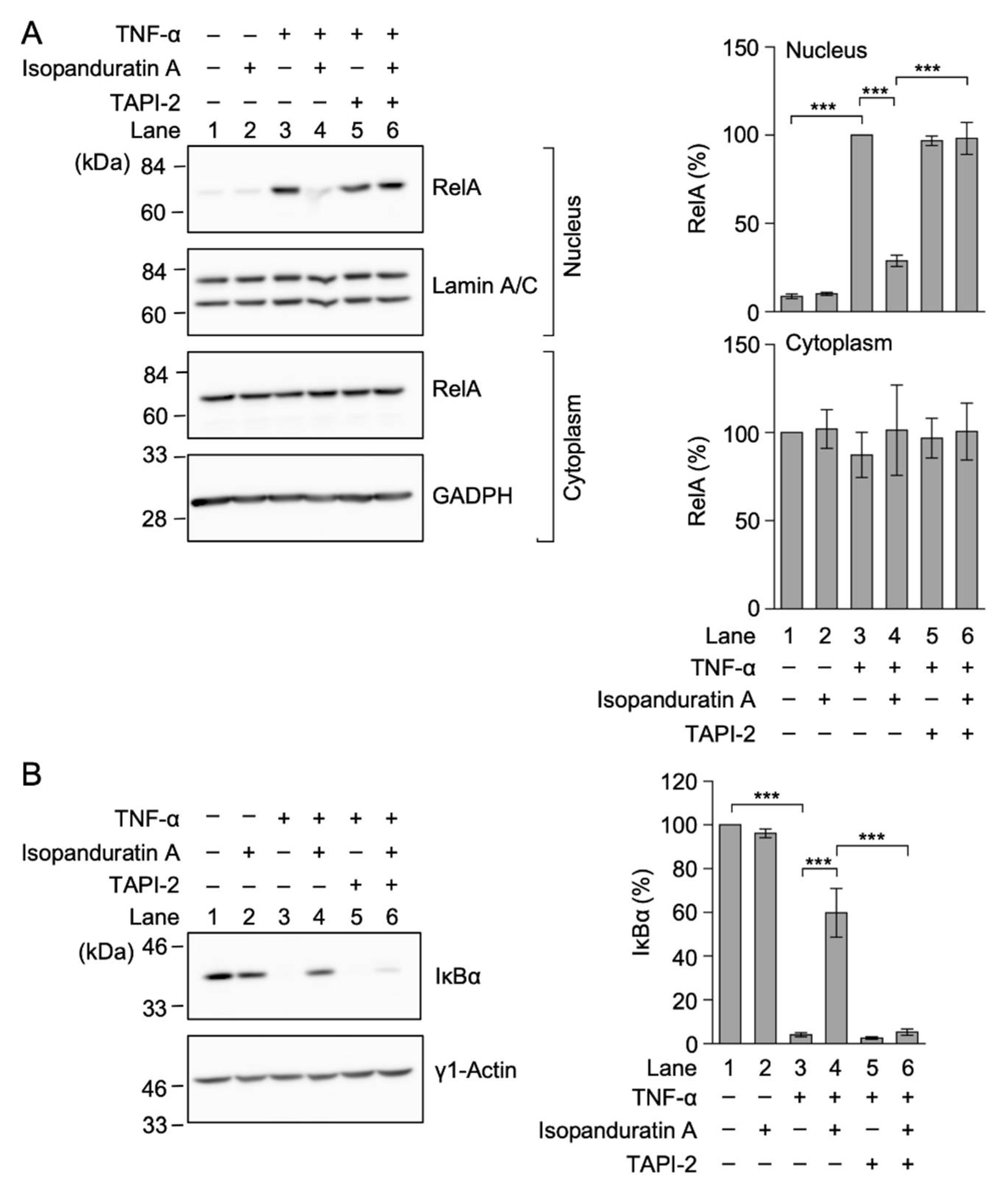 Biochem 01 00014 g005 550