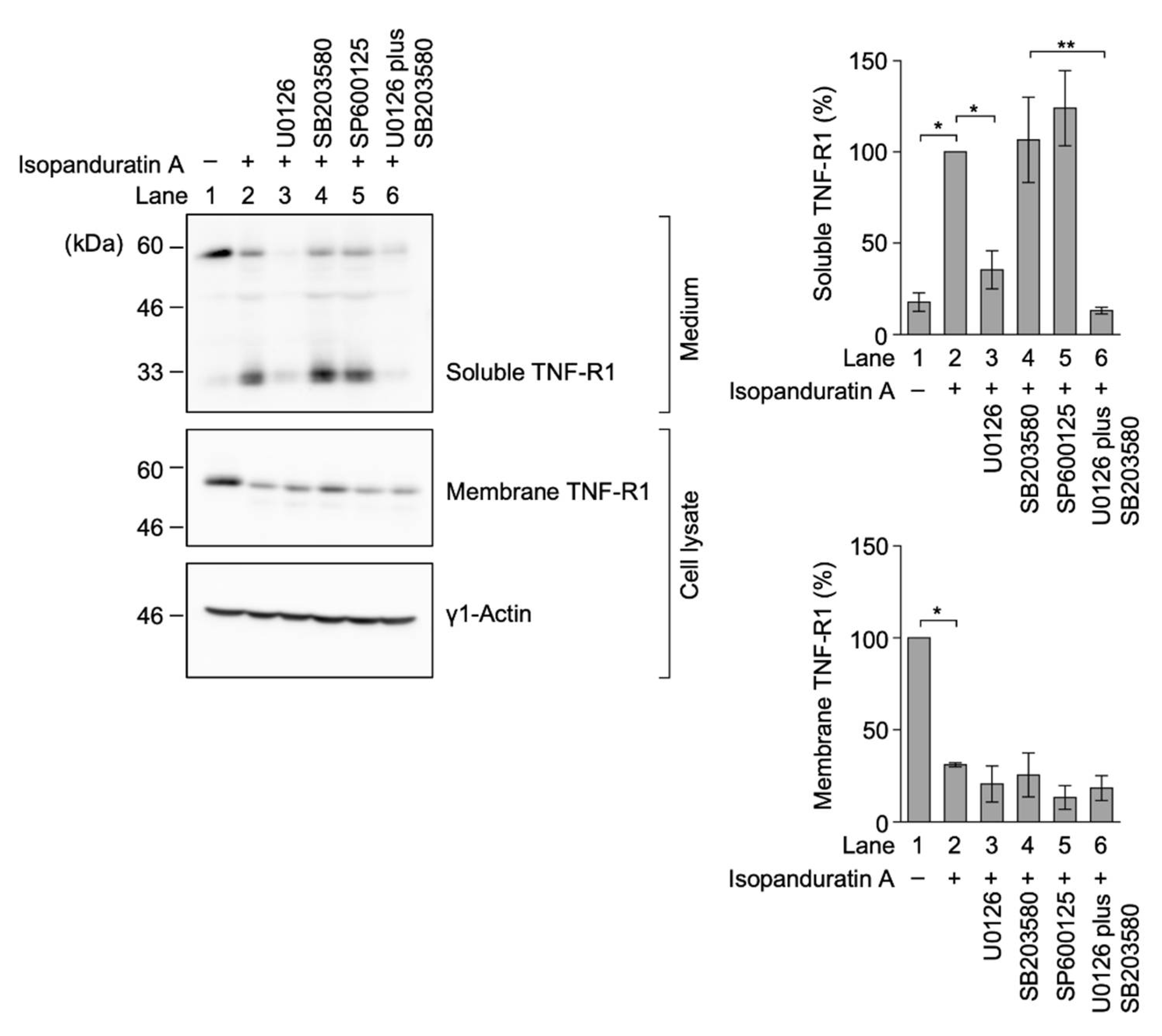 Biochem 01 00014 g006 550