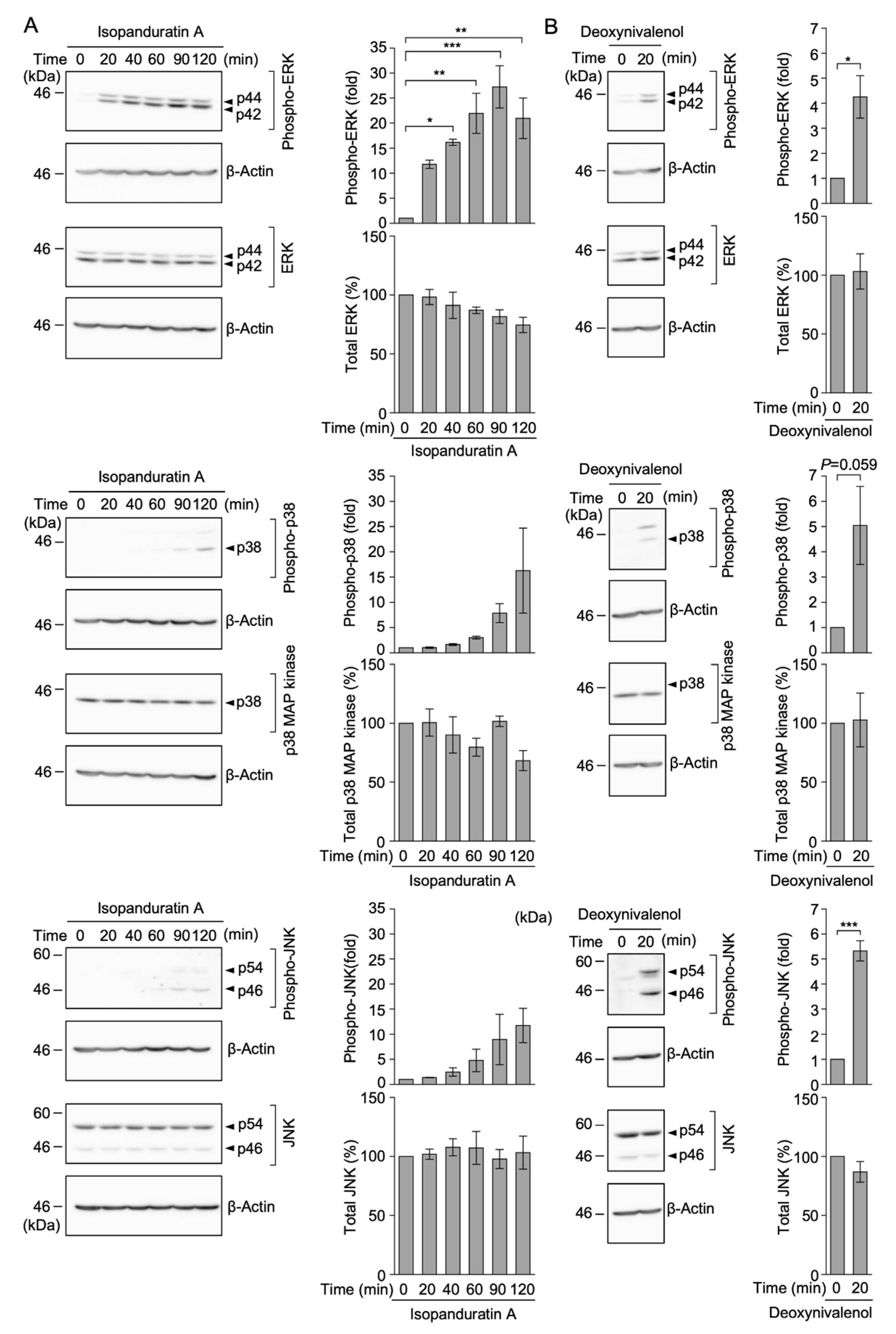 Biochem 01 00014 g007 550