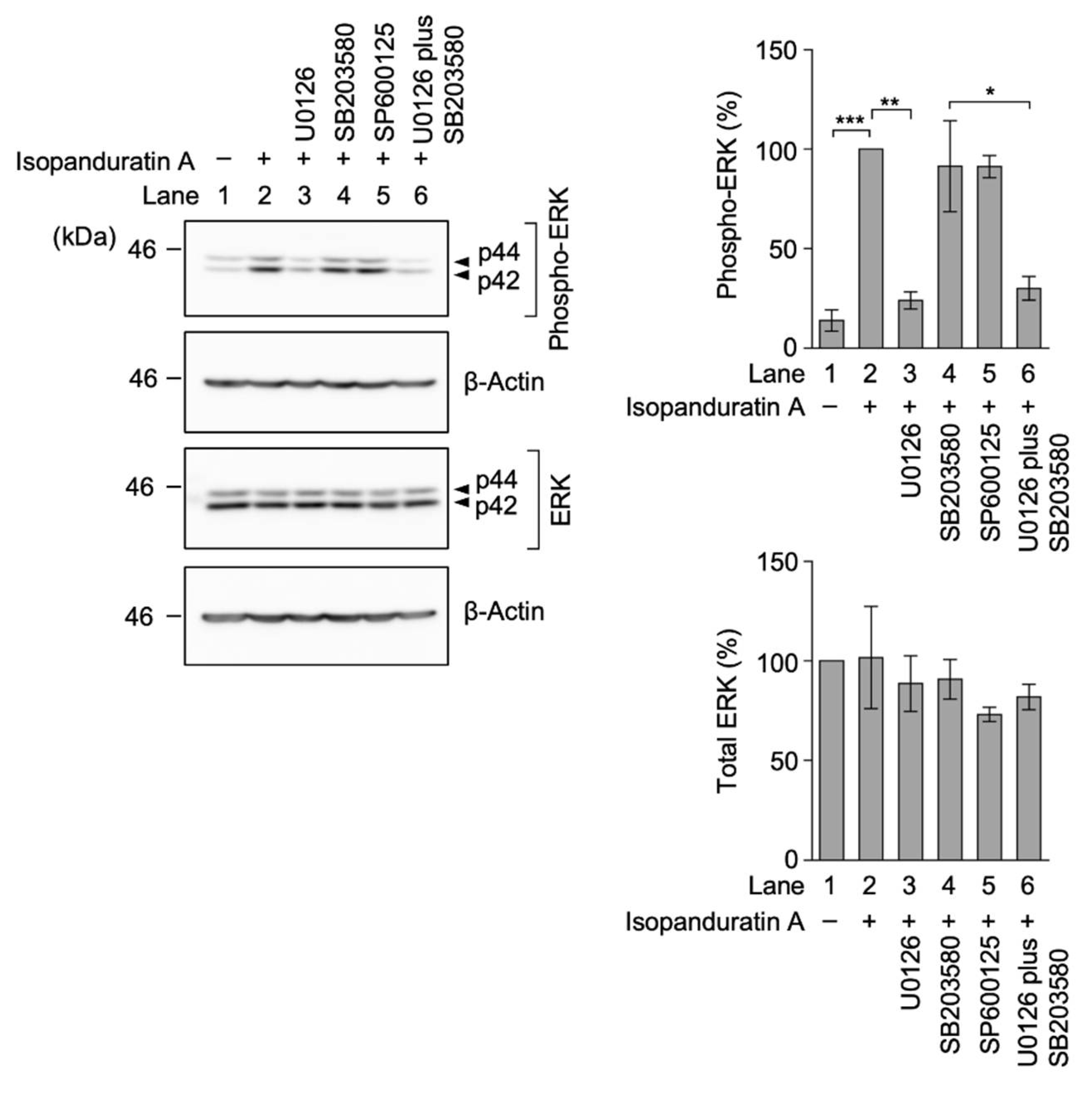 Biochem 01 00014 g008 550