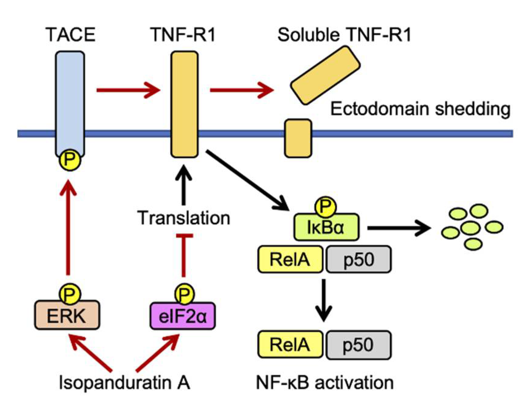 Biochem 01 00014 g010 550