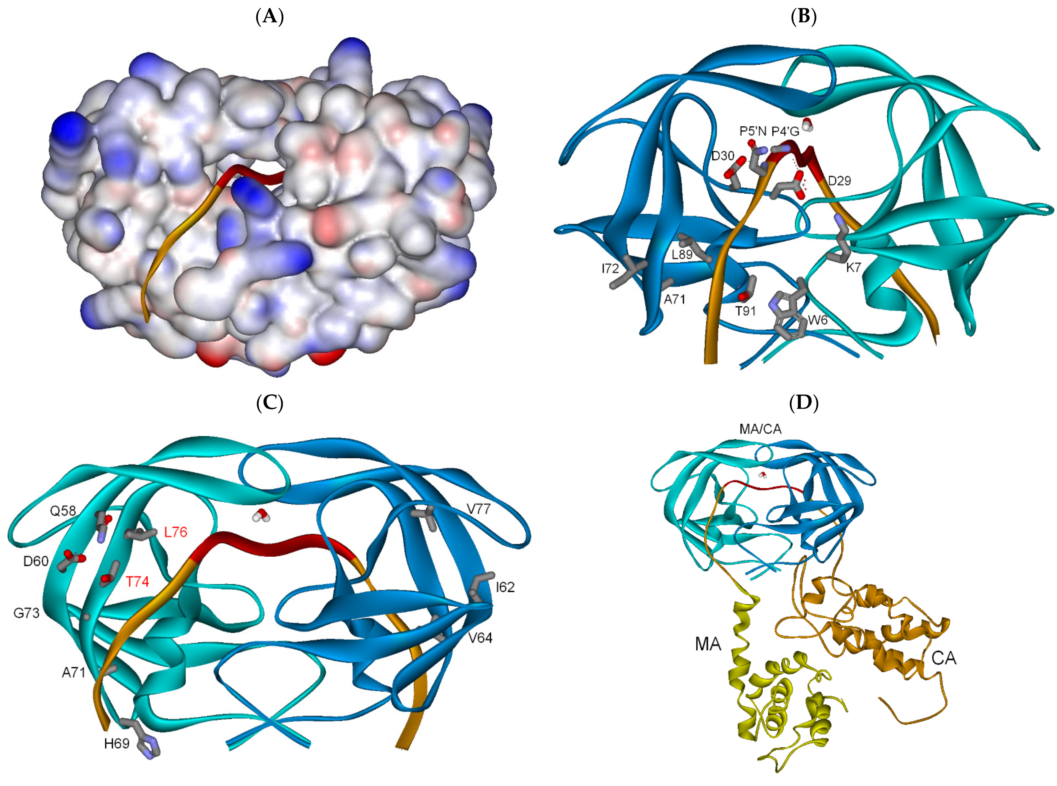 Biochem 01 00015 g001 Biochem 01 00015 g001