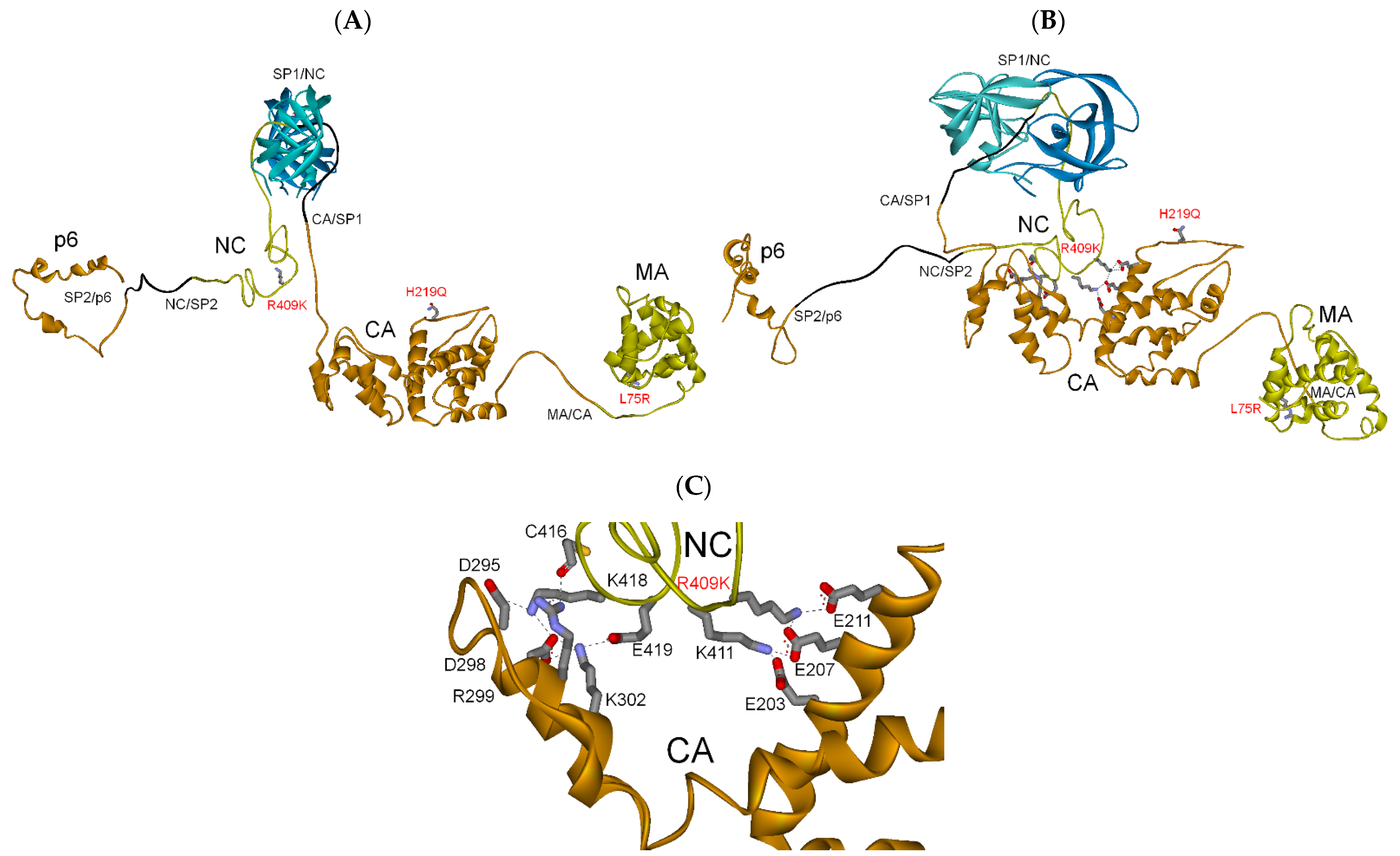 Biochem 01 00015 g003 Biochem 01 00015 g003
