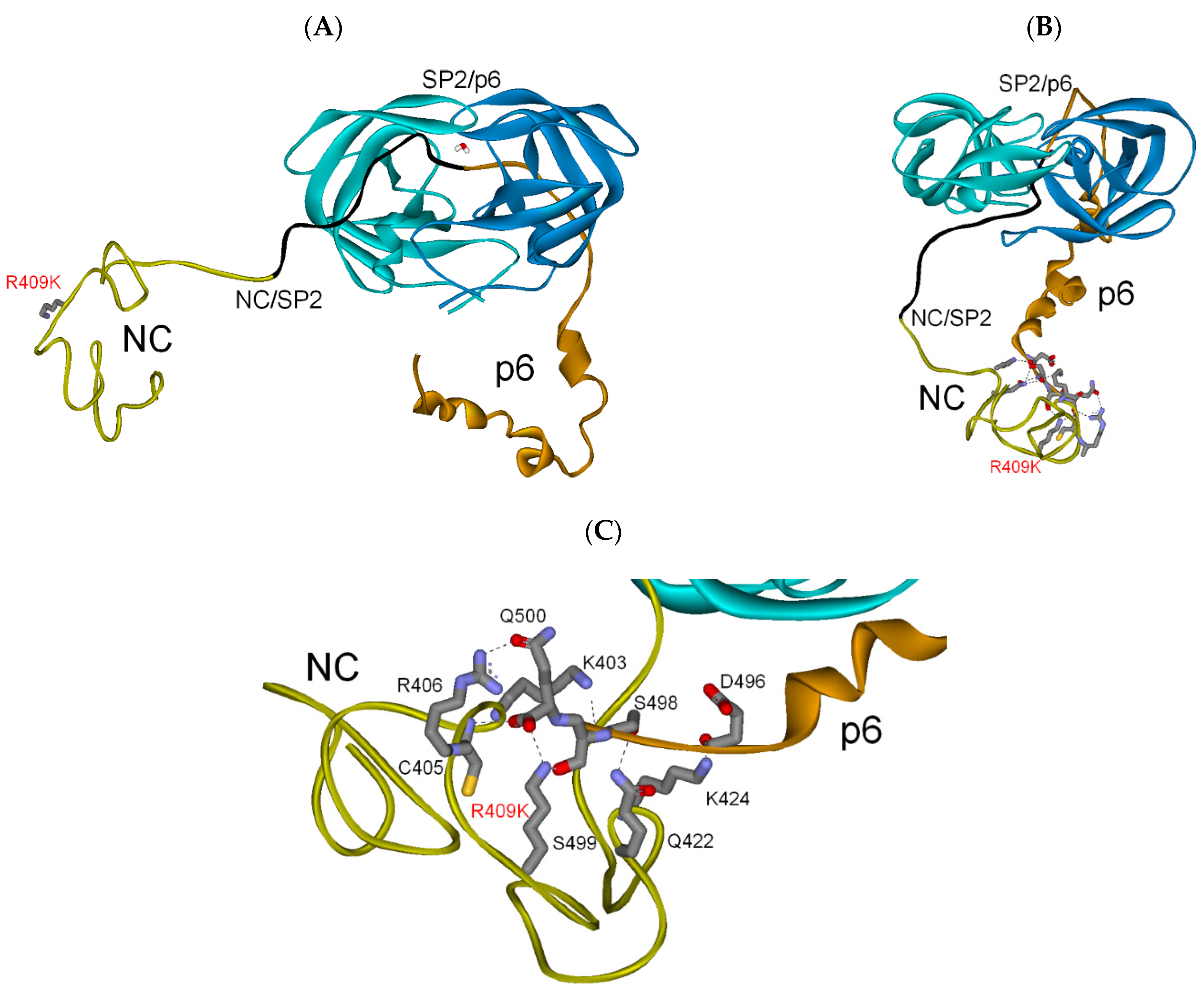 Biochem 01 00015 g004 Biochem 01 00015 g004