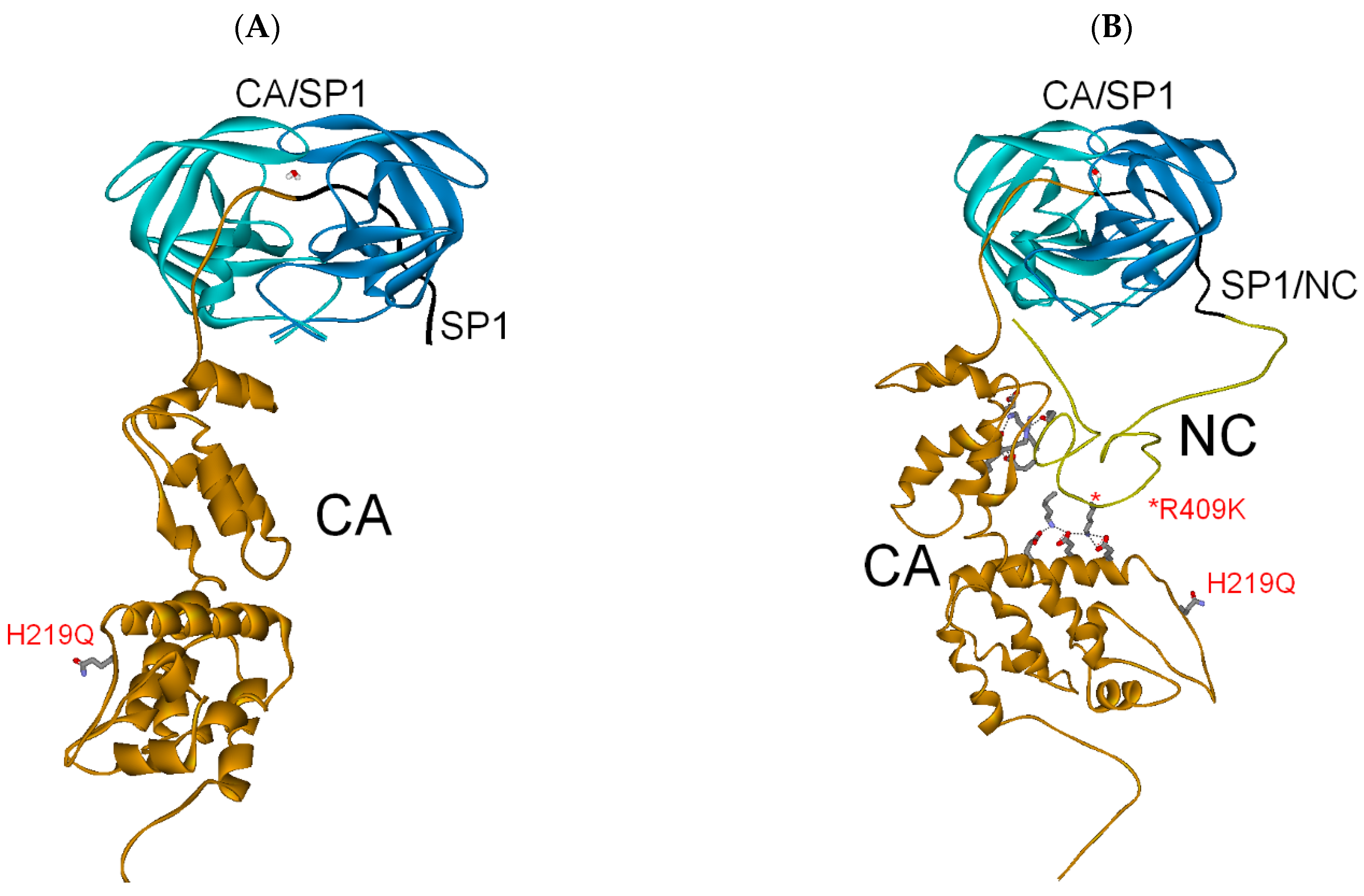 Biochem 01 00015 g007 Biochem 01 00015 g007