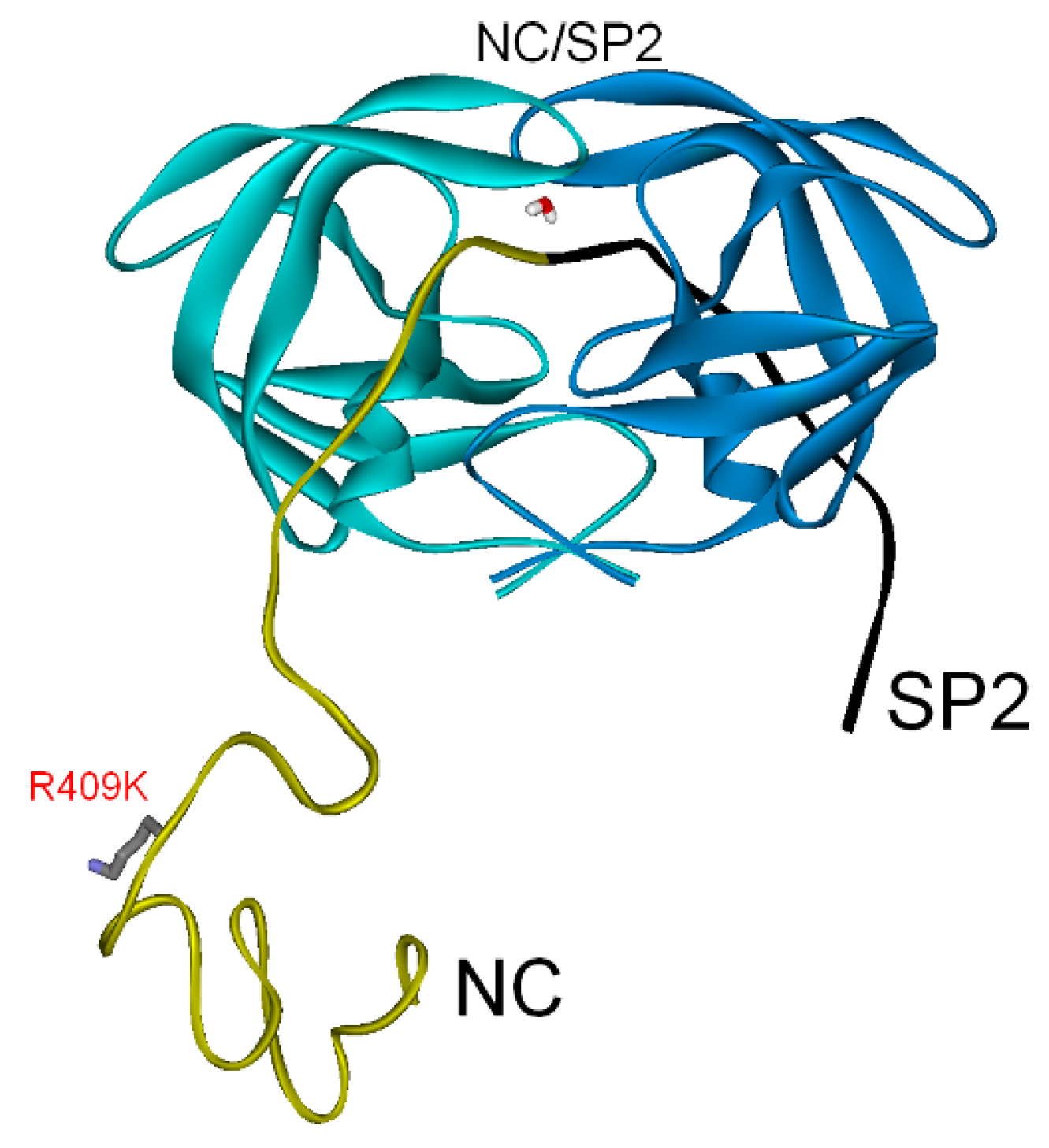 Biochem 01 00015 g008 Biochem 01 00015 g008