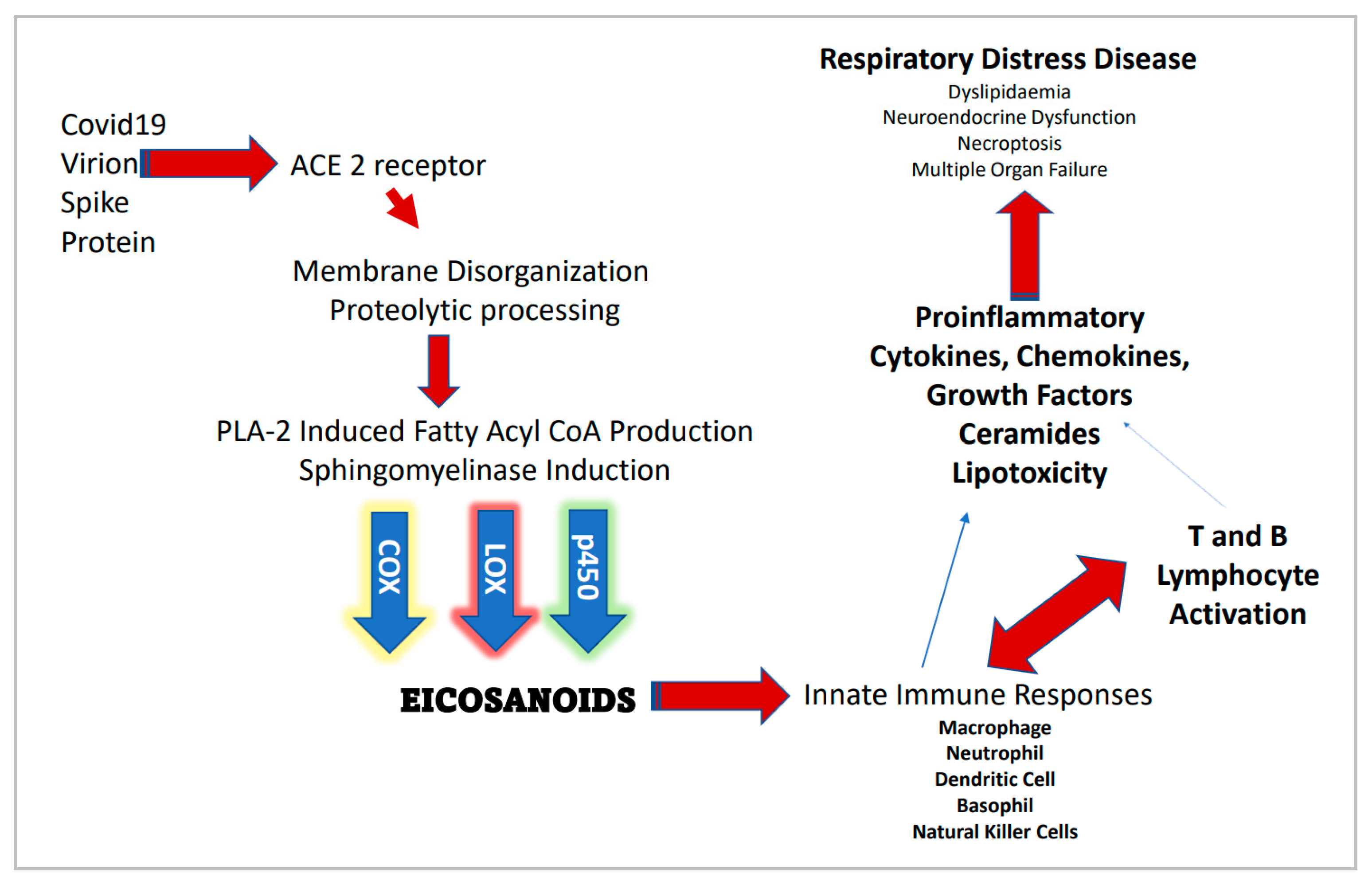 Biochem 01 00016 g001 Biochem 01 00016 g001