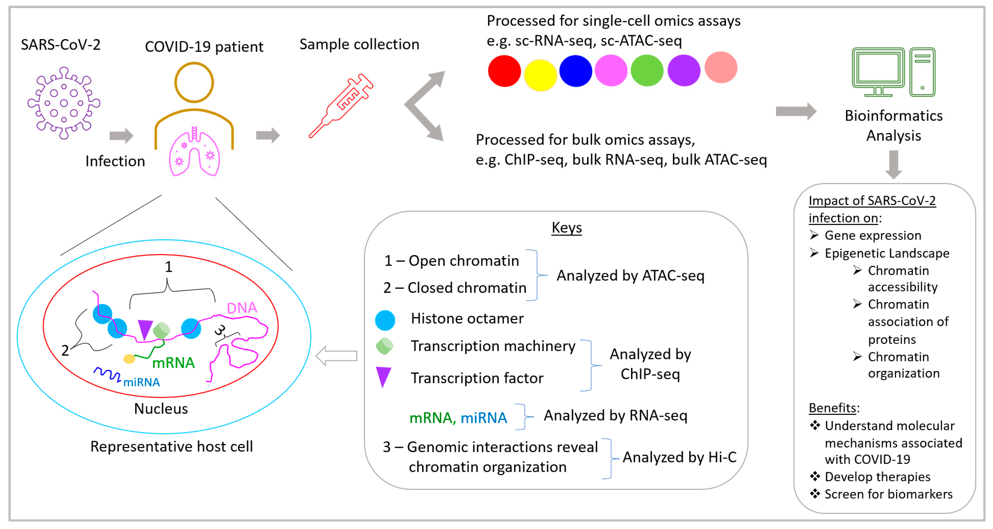Biochem 01 00016 g003 Biochem 01 00016 g003