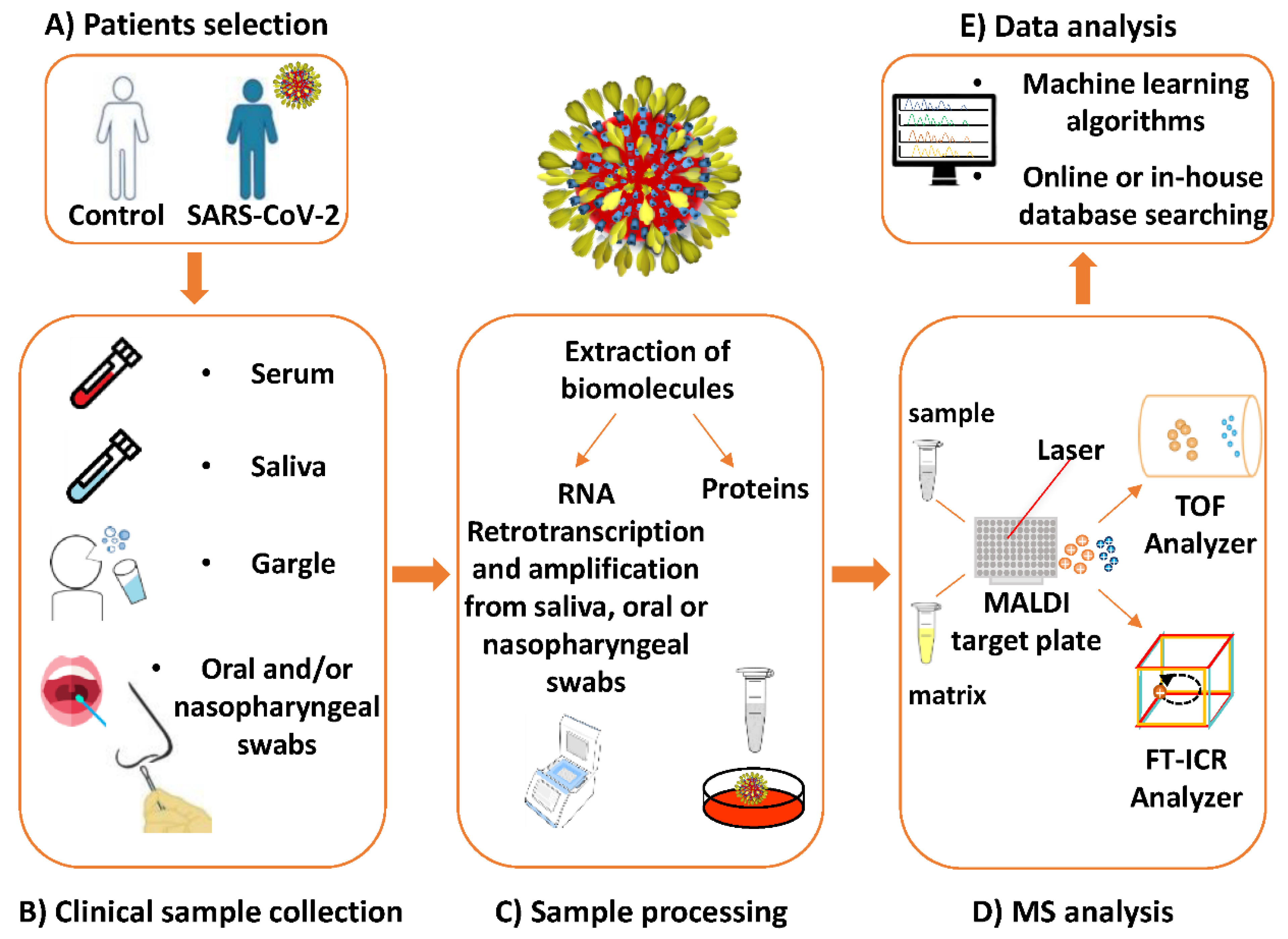 Biochem 01 00018 g003 Biochem 01 00018 g003