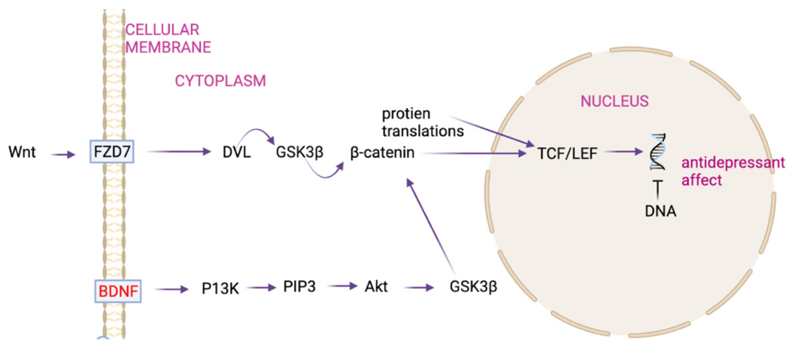 Biochem 02 00001 g001 550