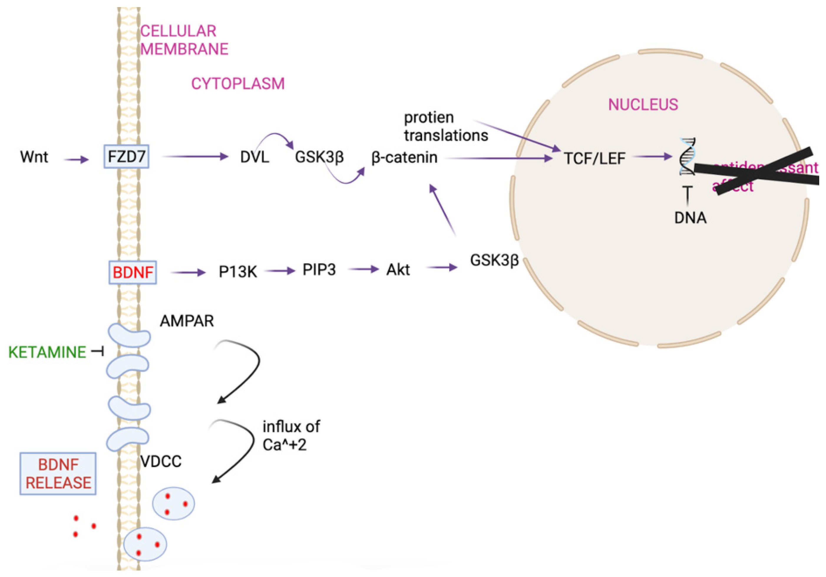 Biochem 02 00001 g002 550