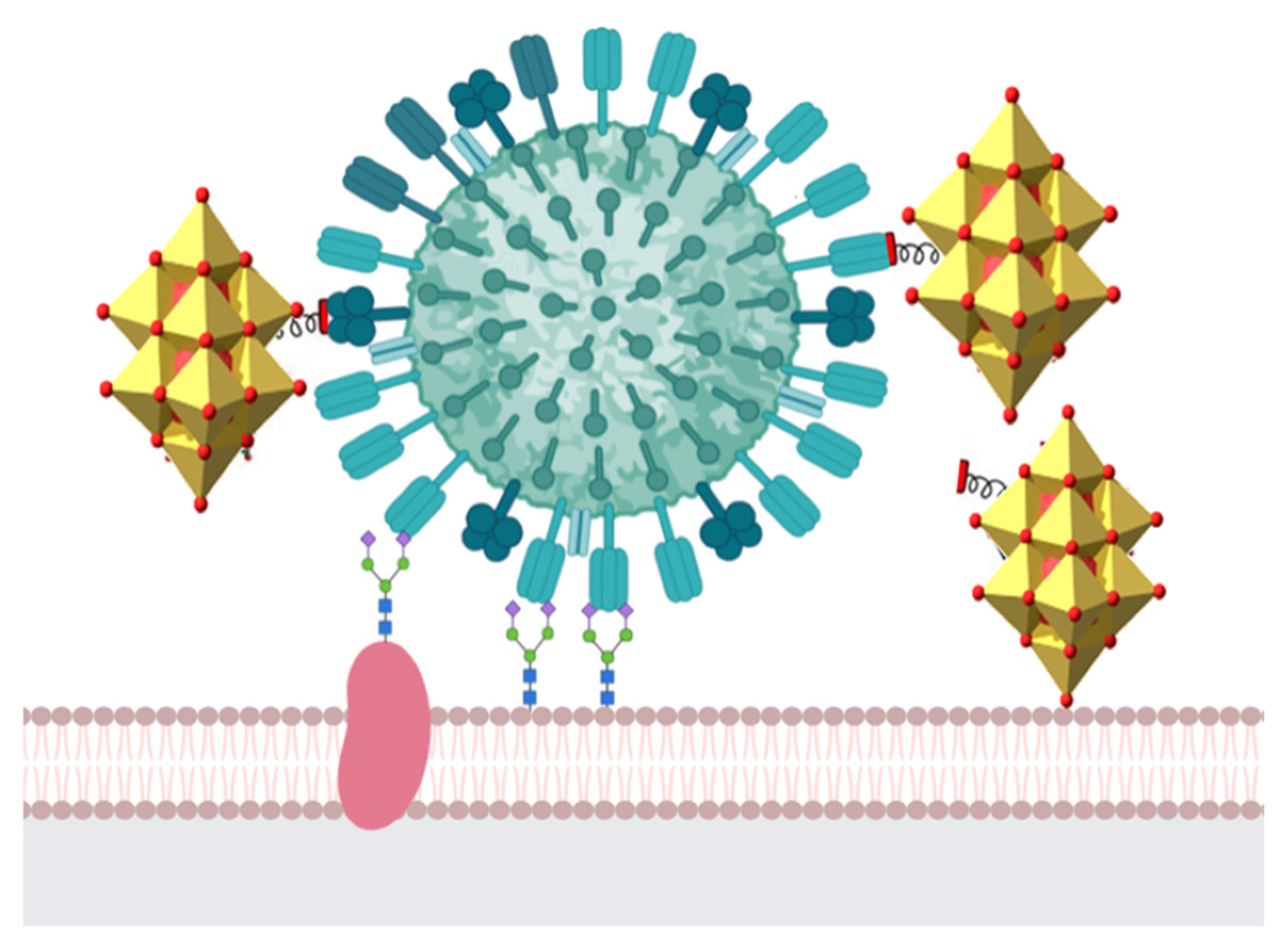 Biochem 02 00002 g004