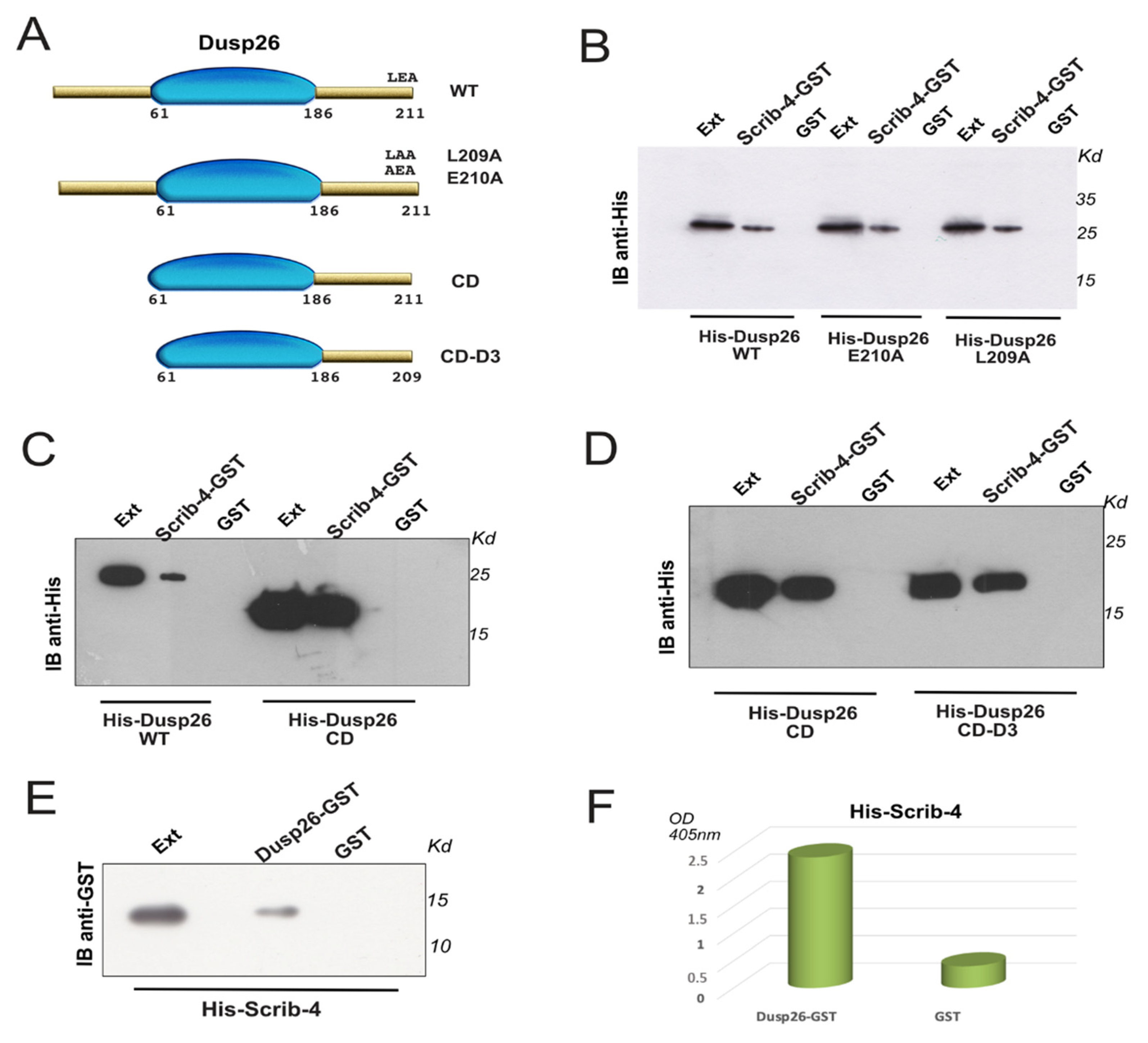 Biochem 02 00006 g001
