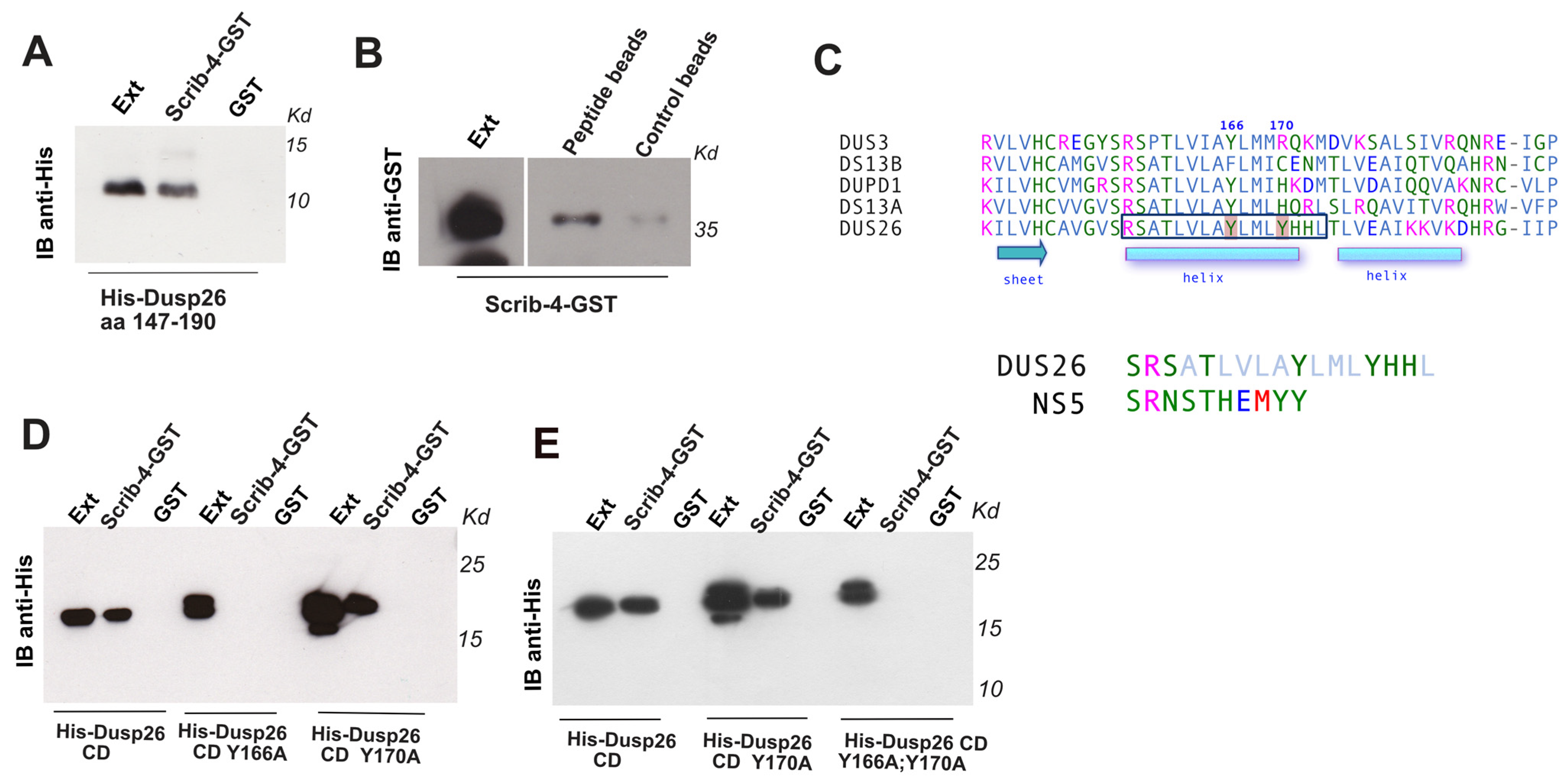 Biochem 02 00006 g002