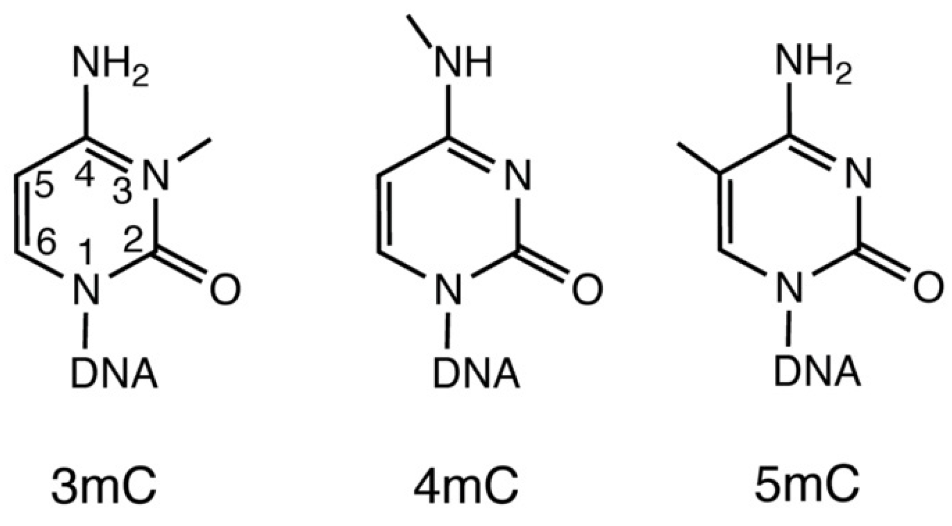 Biochem 02 00012 g001