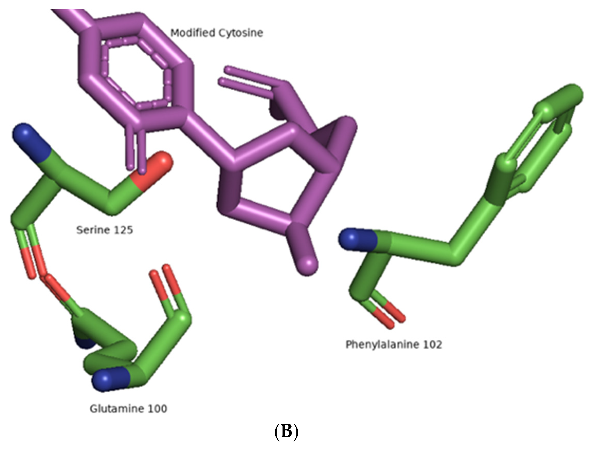 Biochem 02 00012 g003b