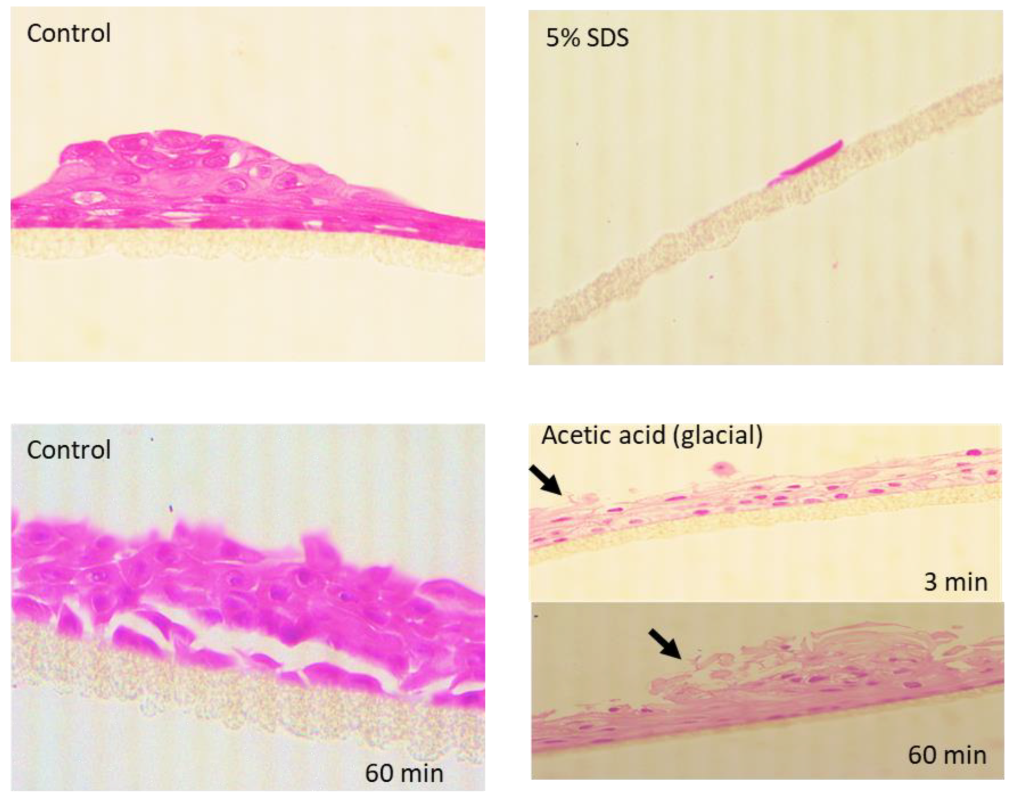 Biochem 02 00015 g004 Biochem 02 00015 g004