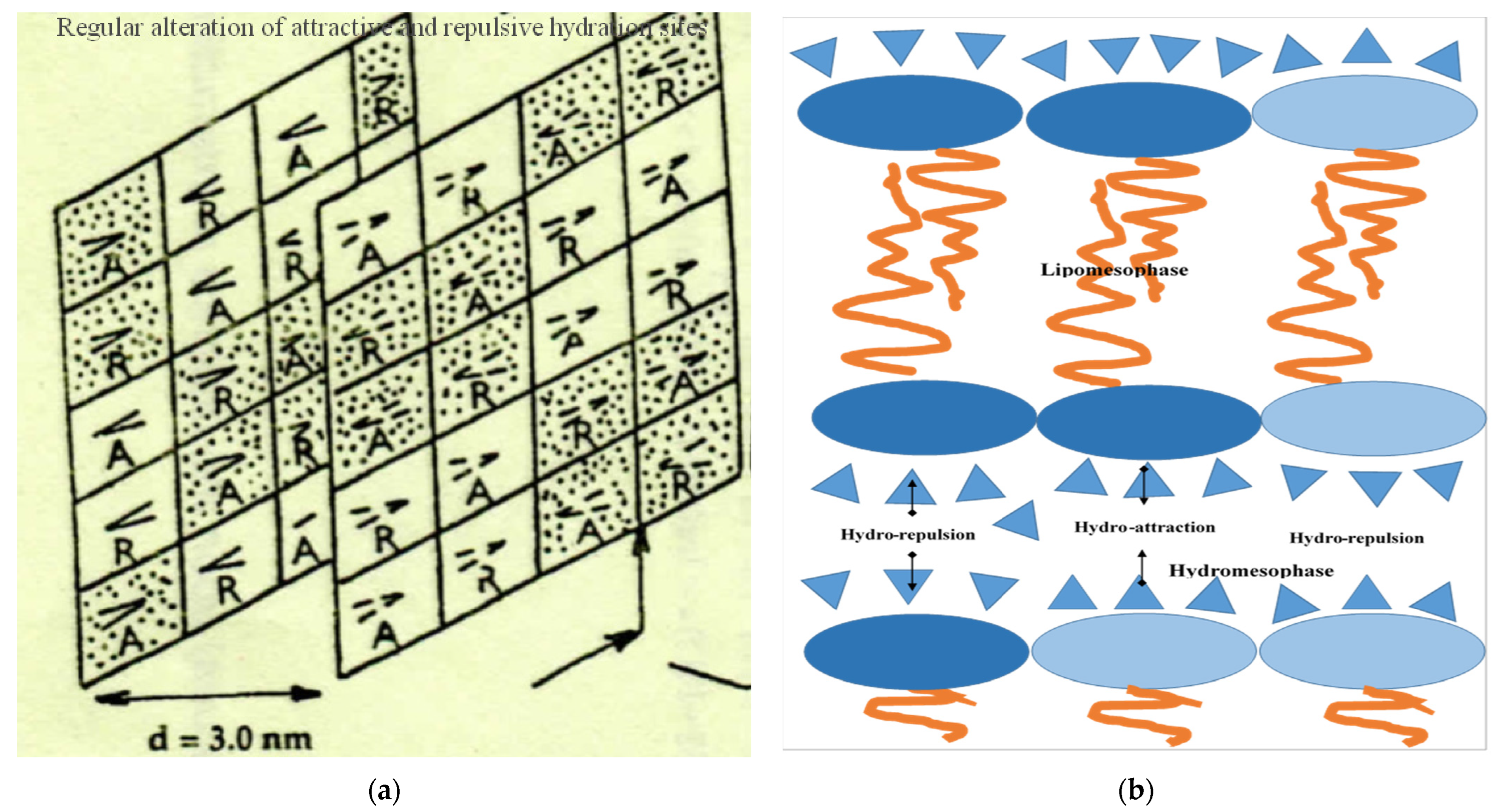 Biochem 02 00016 g001