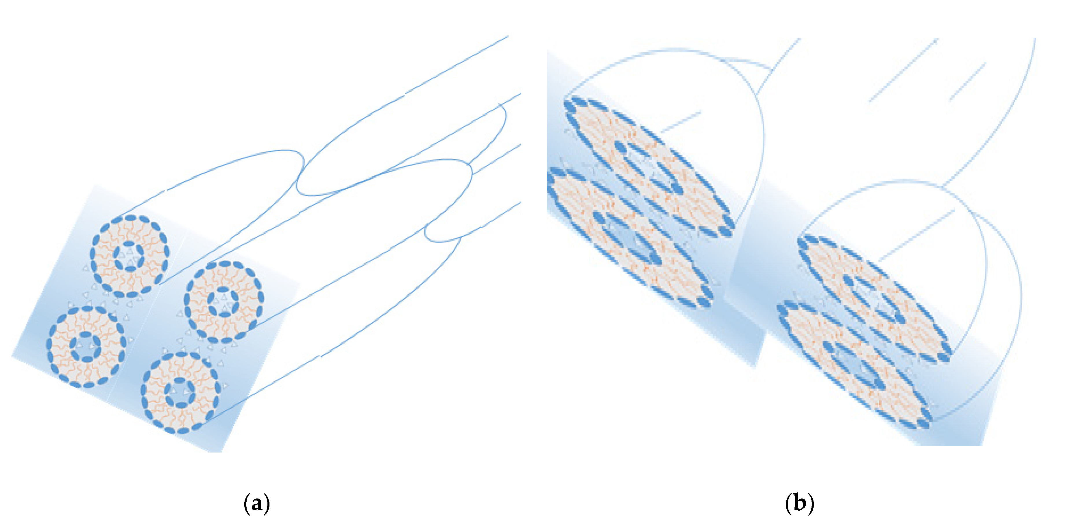 Biochem 02 00016 g005