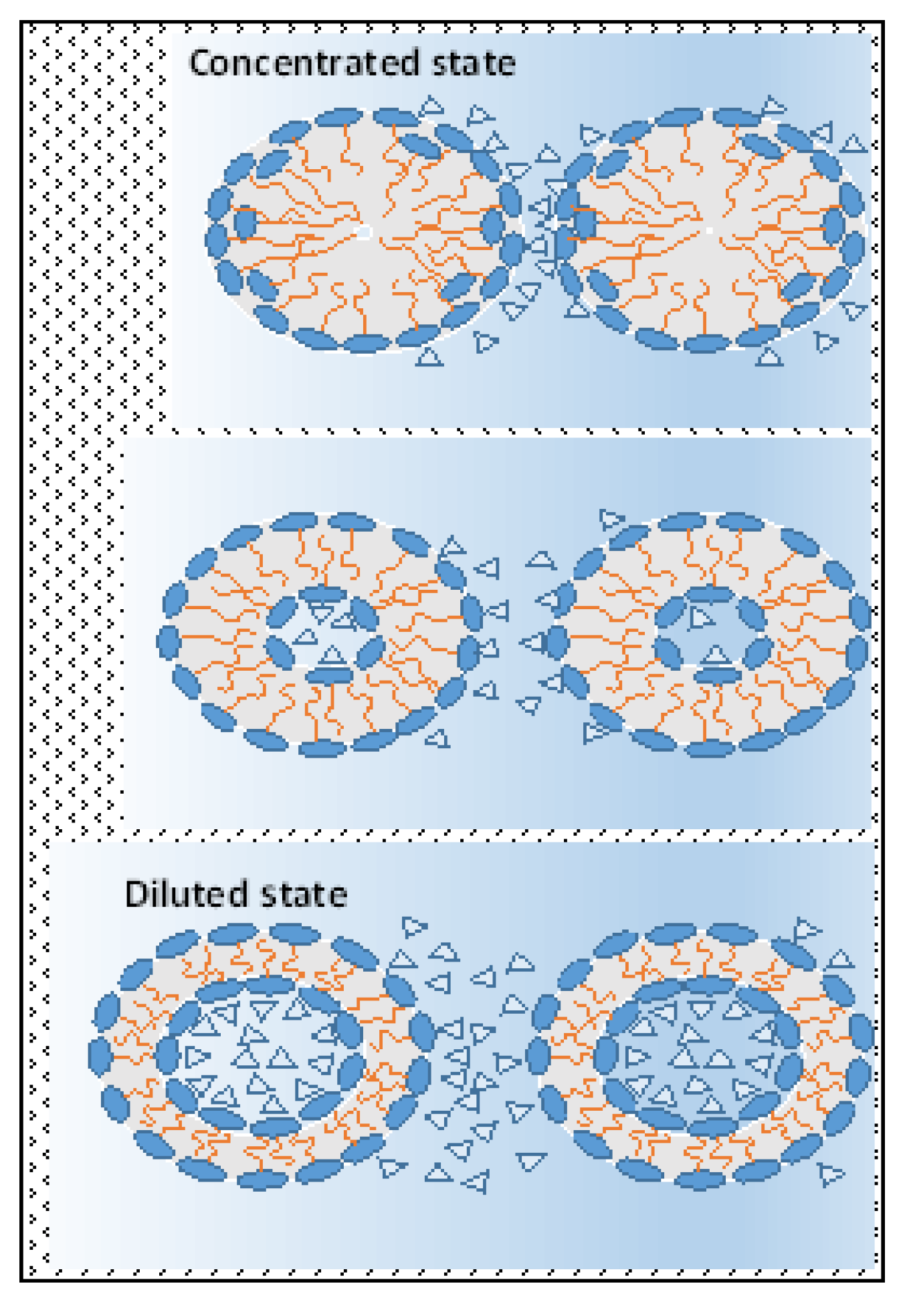 Biochem 02 00016 g007