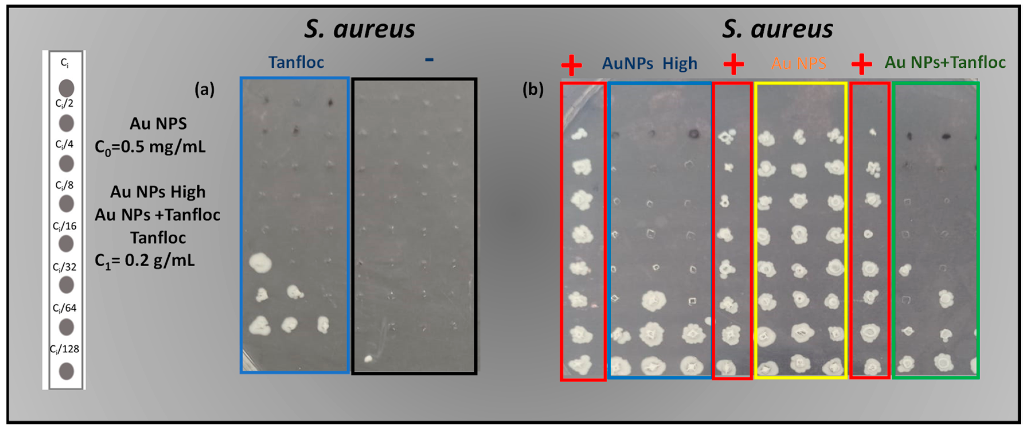 Biochem 02 00019 g004