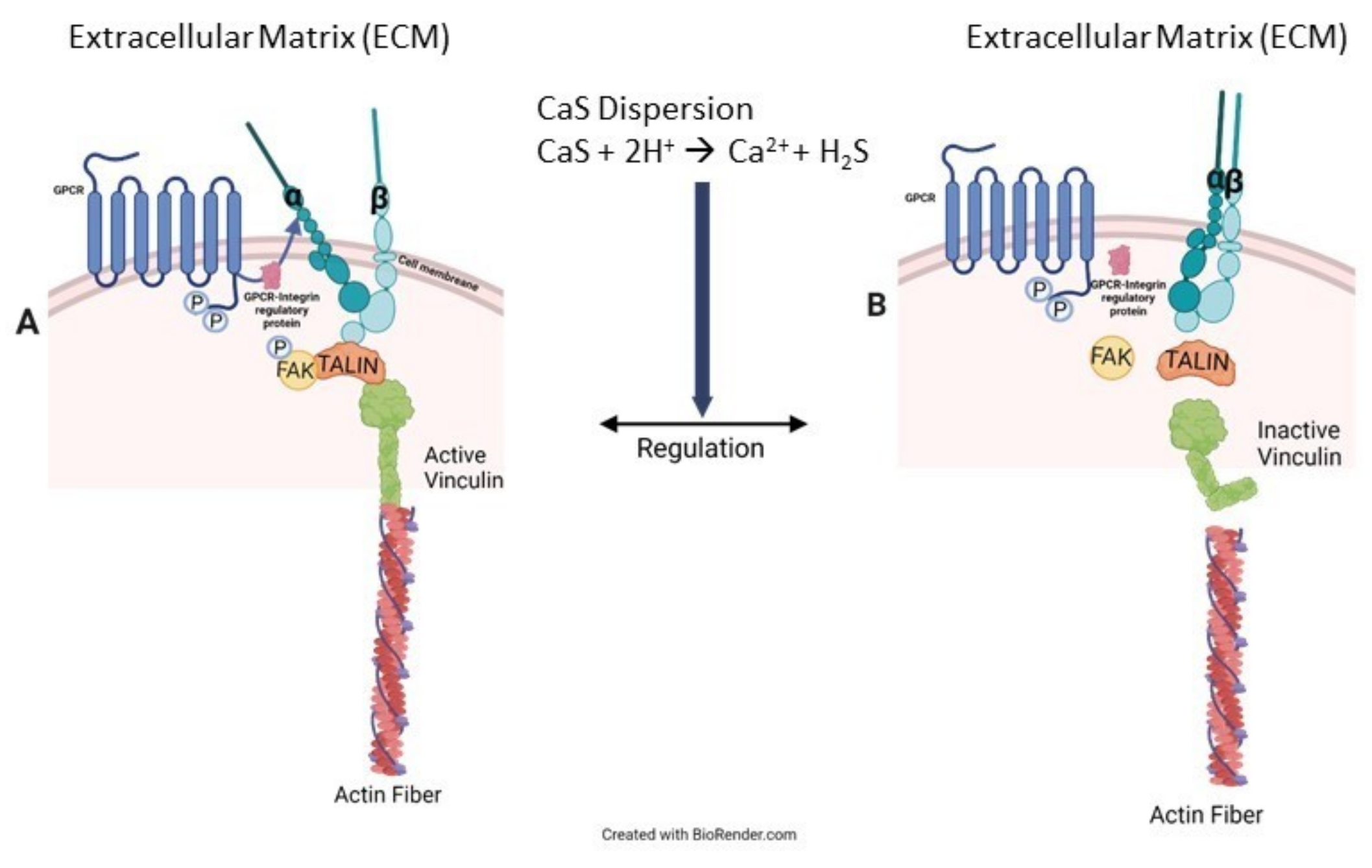 Biochem 03 00002 g007