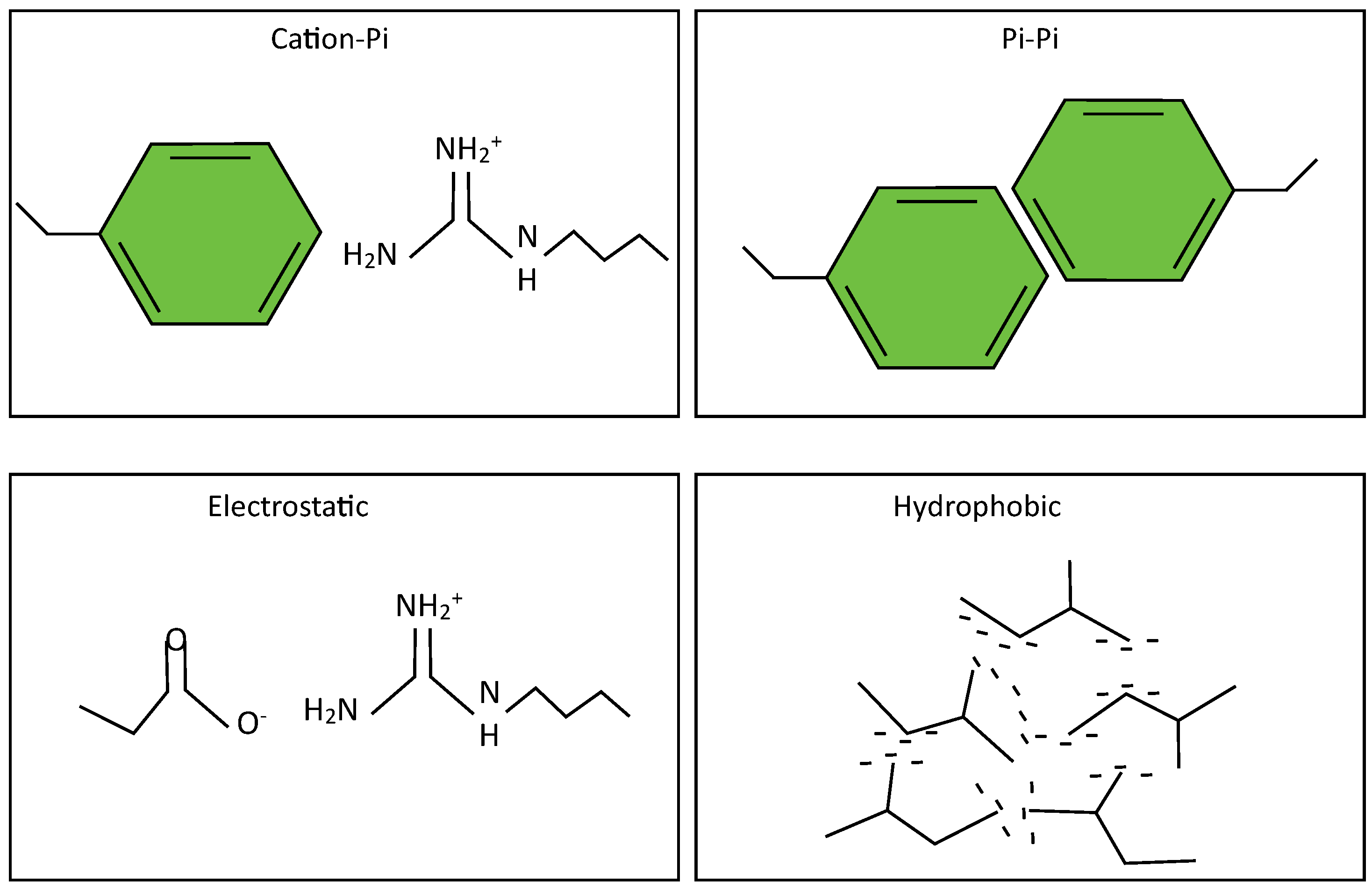 BioChem Free FullText Intracellular Organization of Proteins and