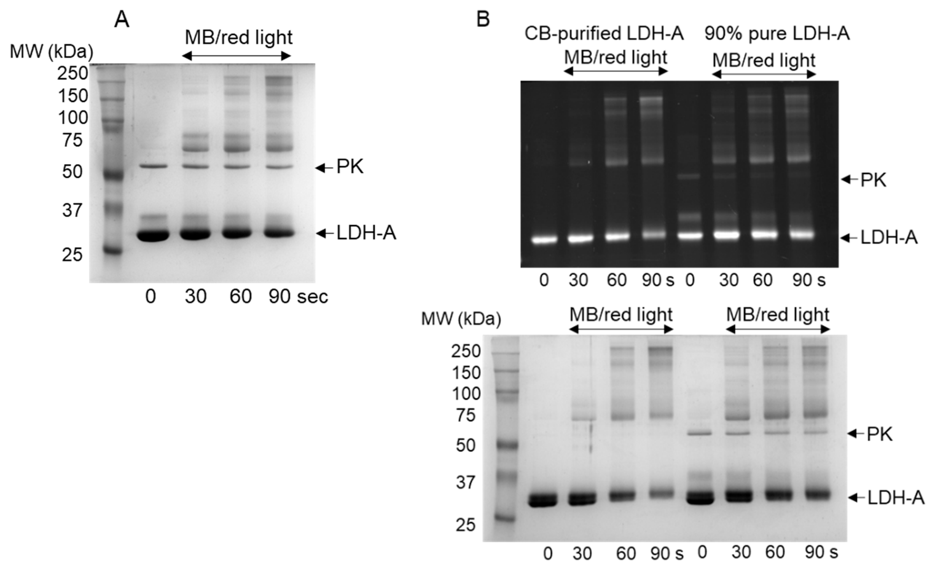 Biochem 04 00002 g001