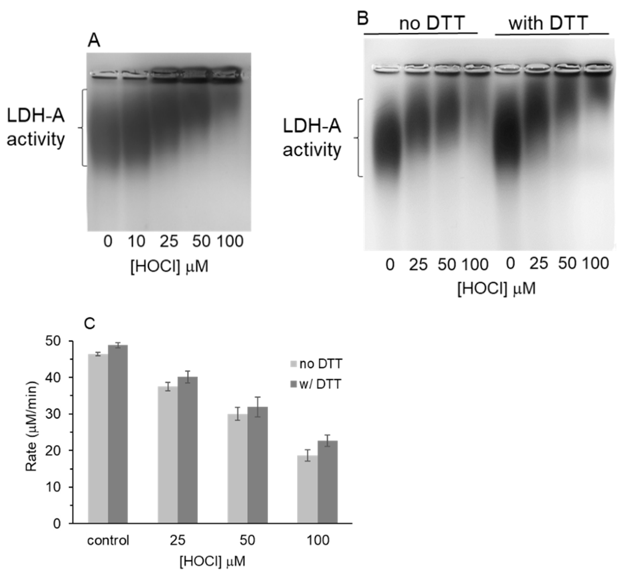 Biochem 04 00002 g004